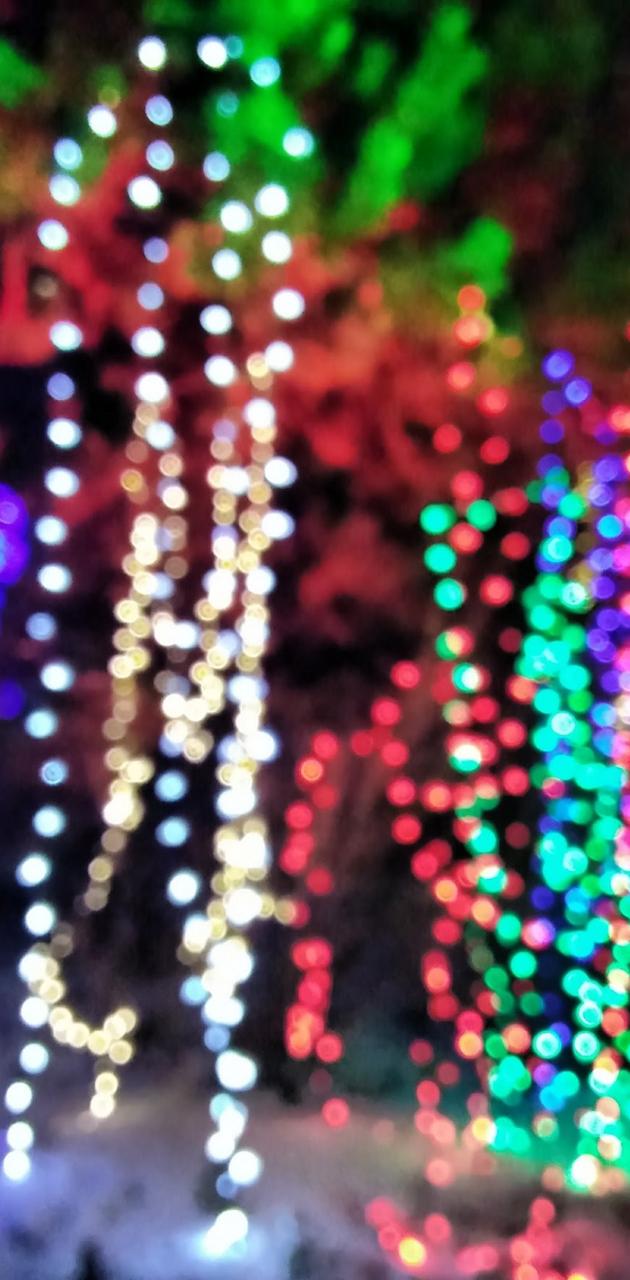 A blurry image of a Christmas tree with lights on it. - Blurry