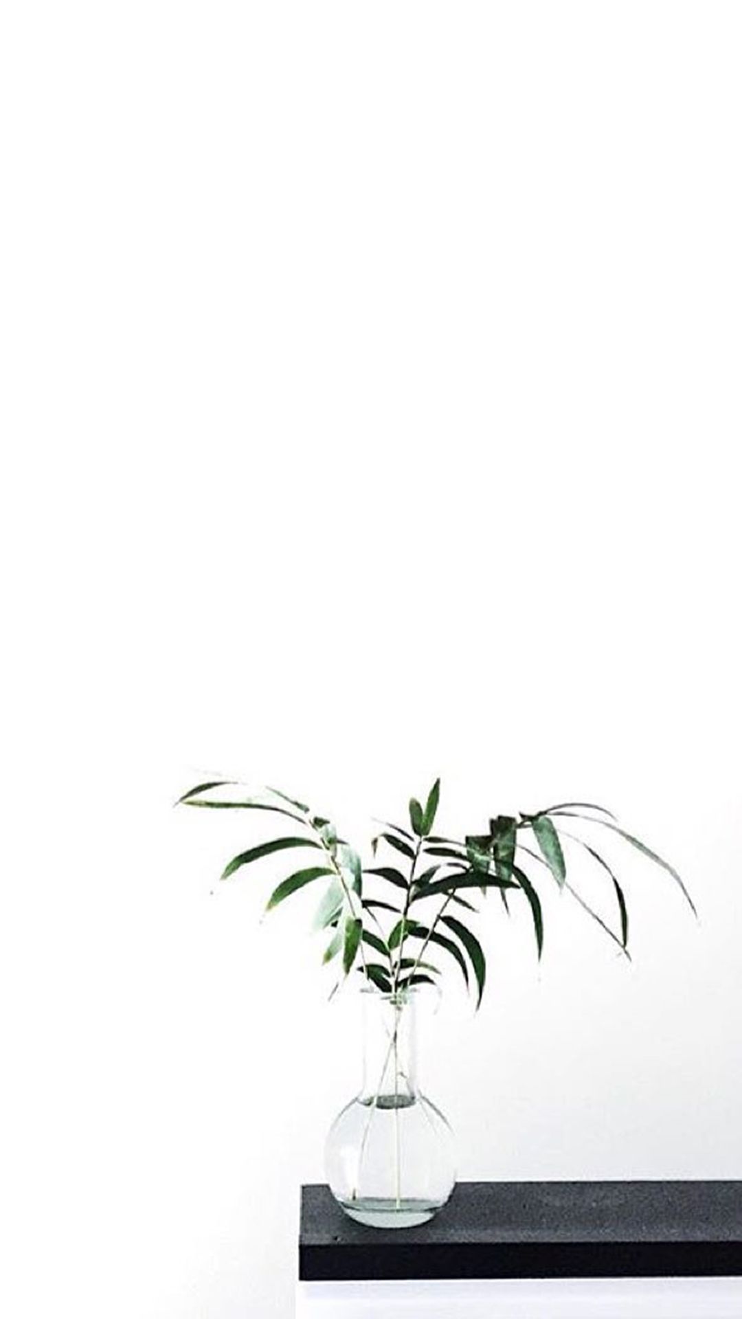 A plant in a vase sitting on a table. - Clean