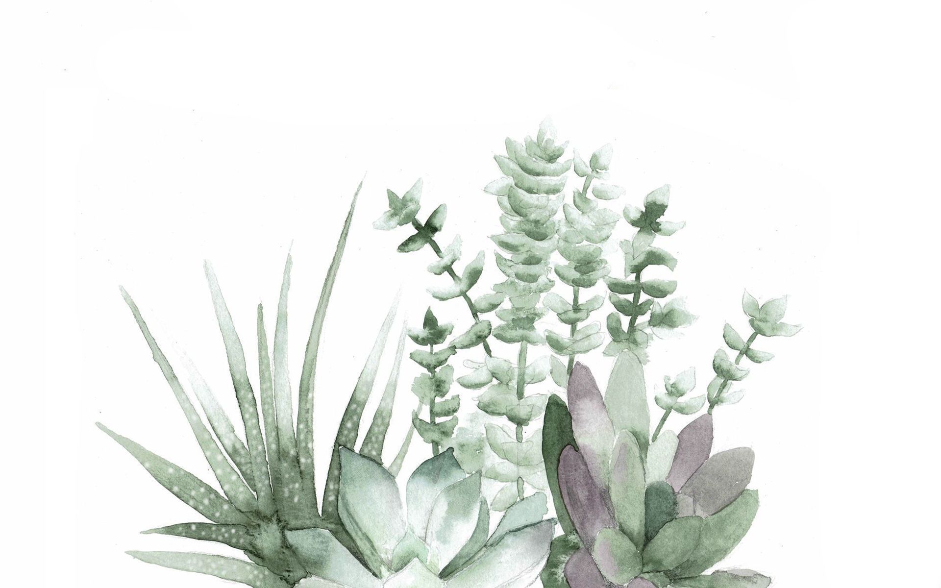 A watercolor painting of some plants - Plants, succulent