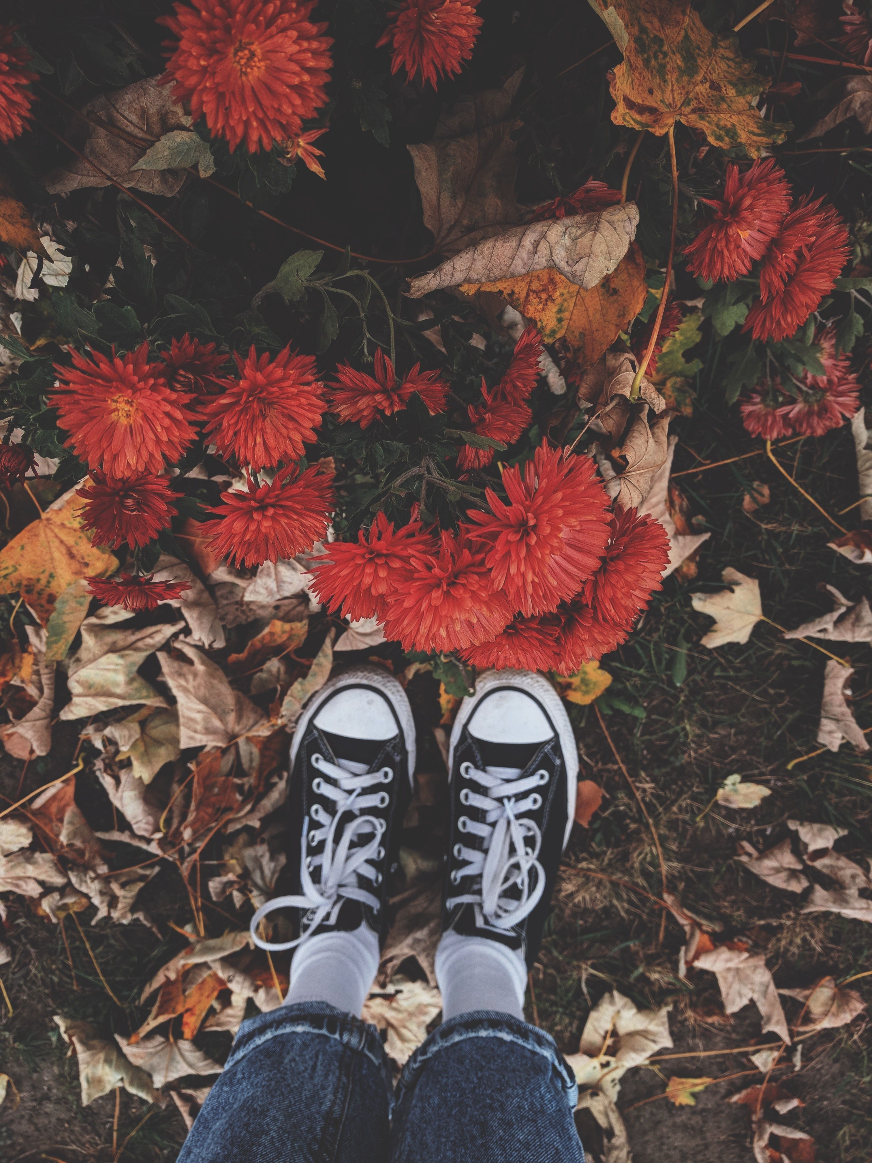 A person is standing on top of leaves - Shoes, Converse
