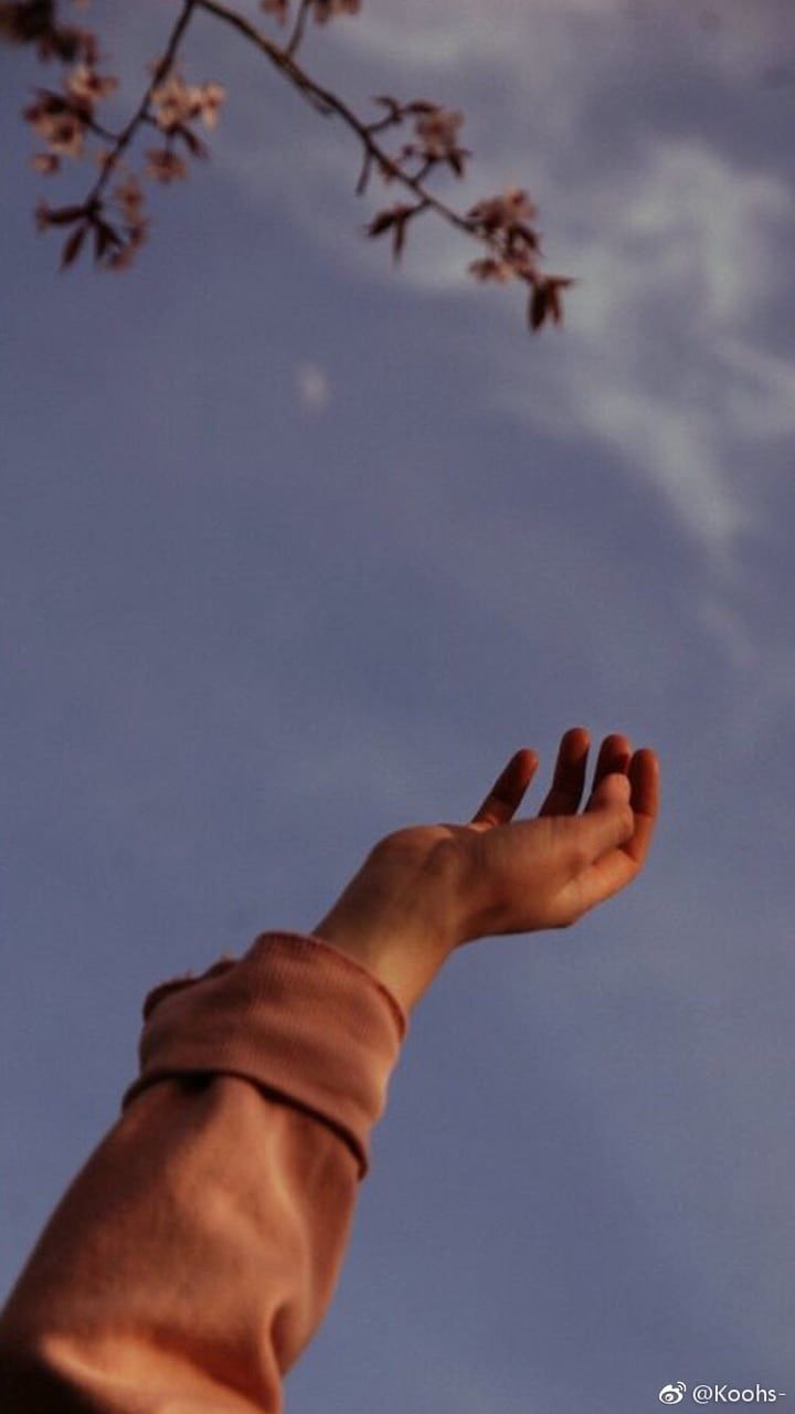 A hand reaching out to the sky - Indie