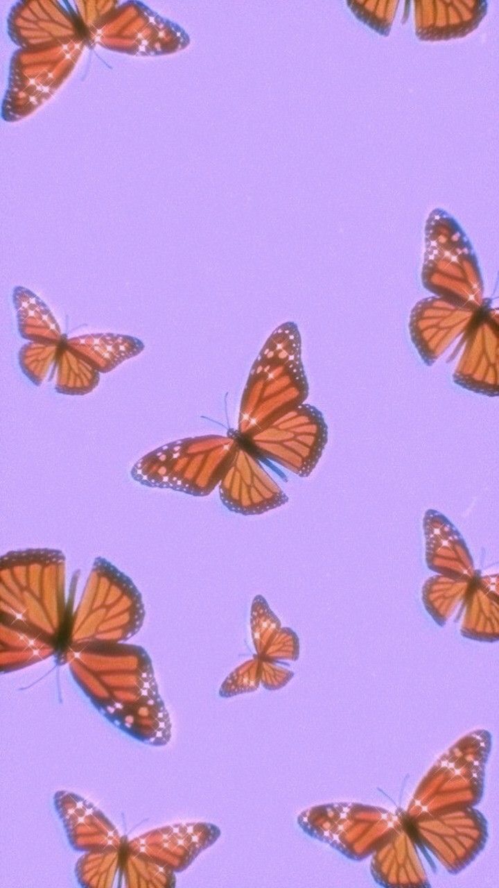 Aesthetic butterfly wallpaper for phone with purple background - Butterfly