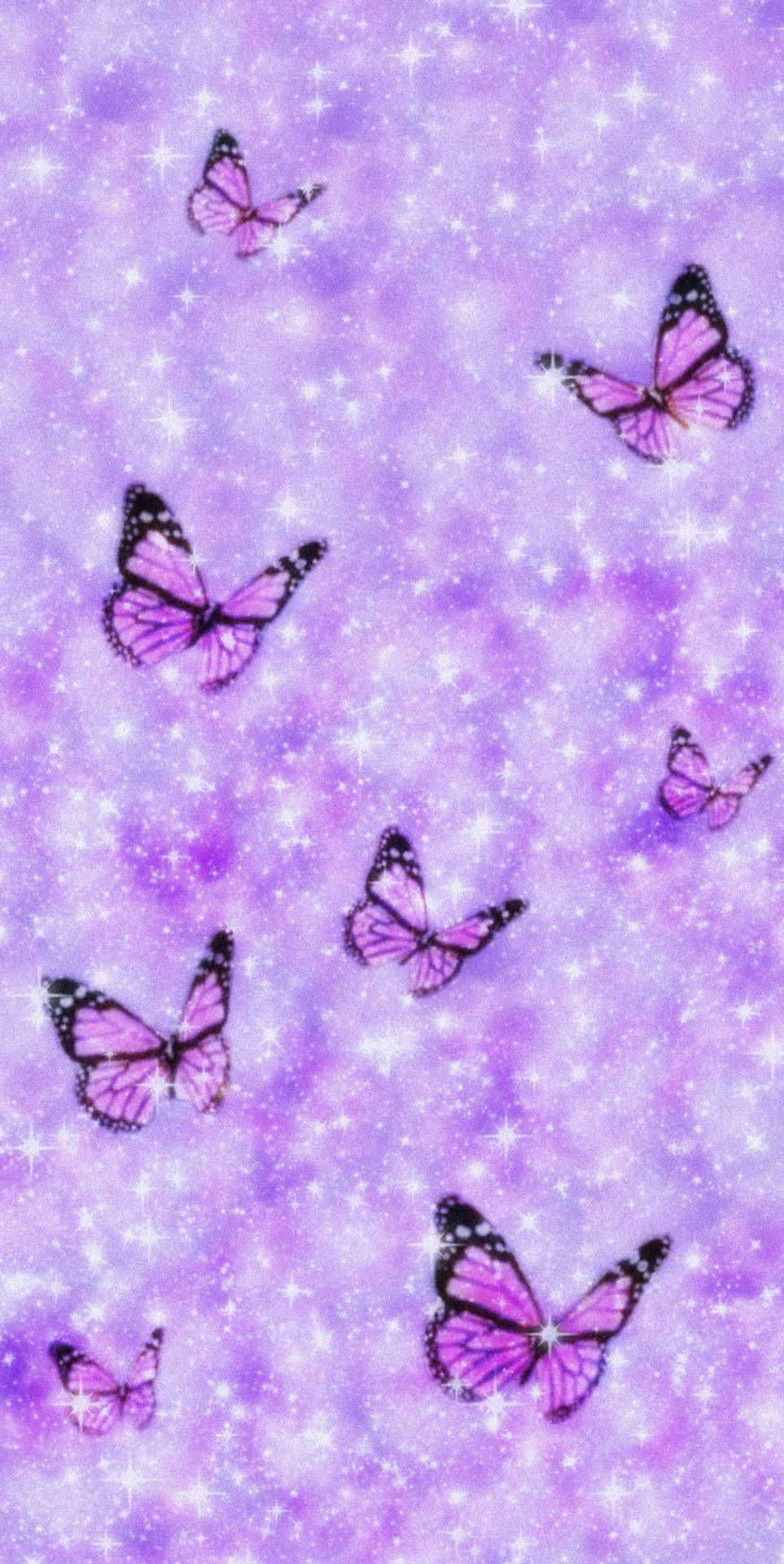 A group of purple butterflies flying over the sky - Butterfly
