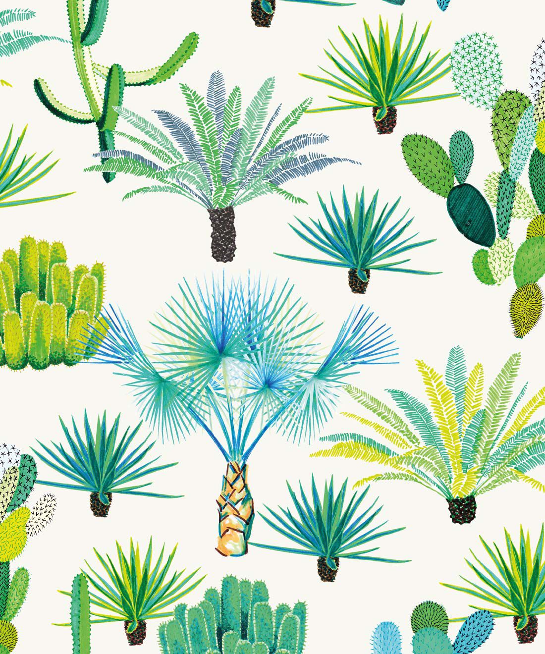Succulents & Cactus Wallpaper • Desert Designs EU