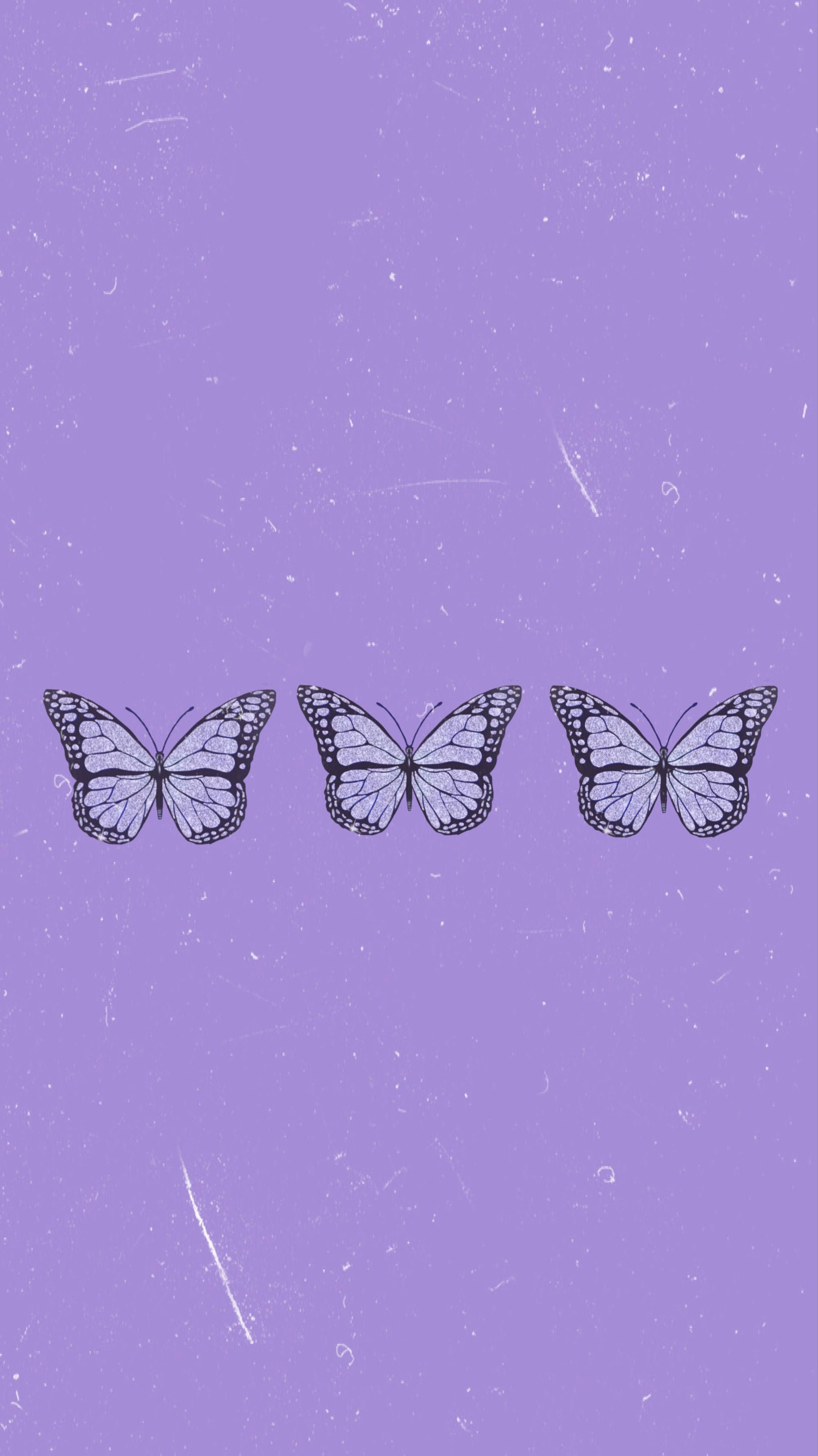 Download Three Purple Butterfly Phone Background Wallpaper