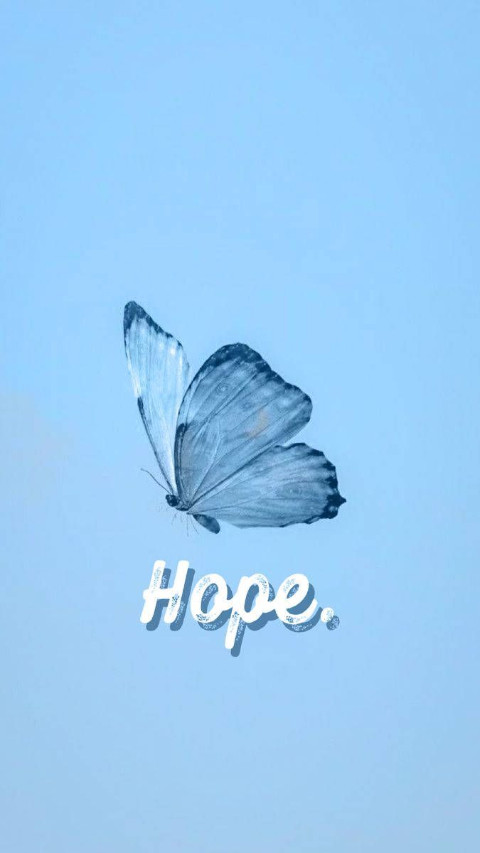 A butterfly with the word hope on it - Butterfly