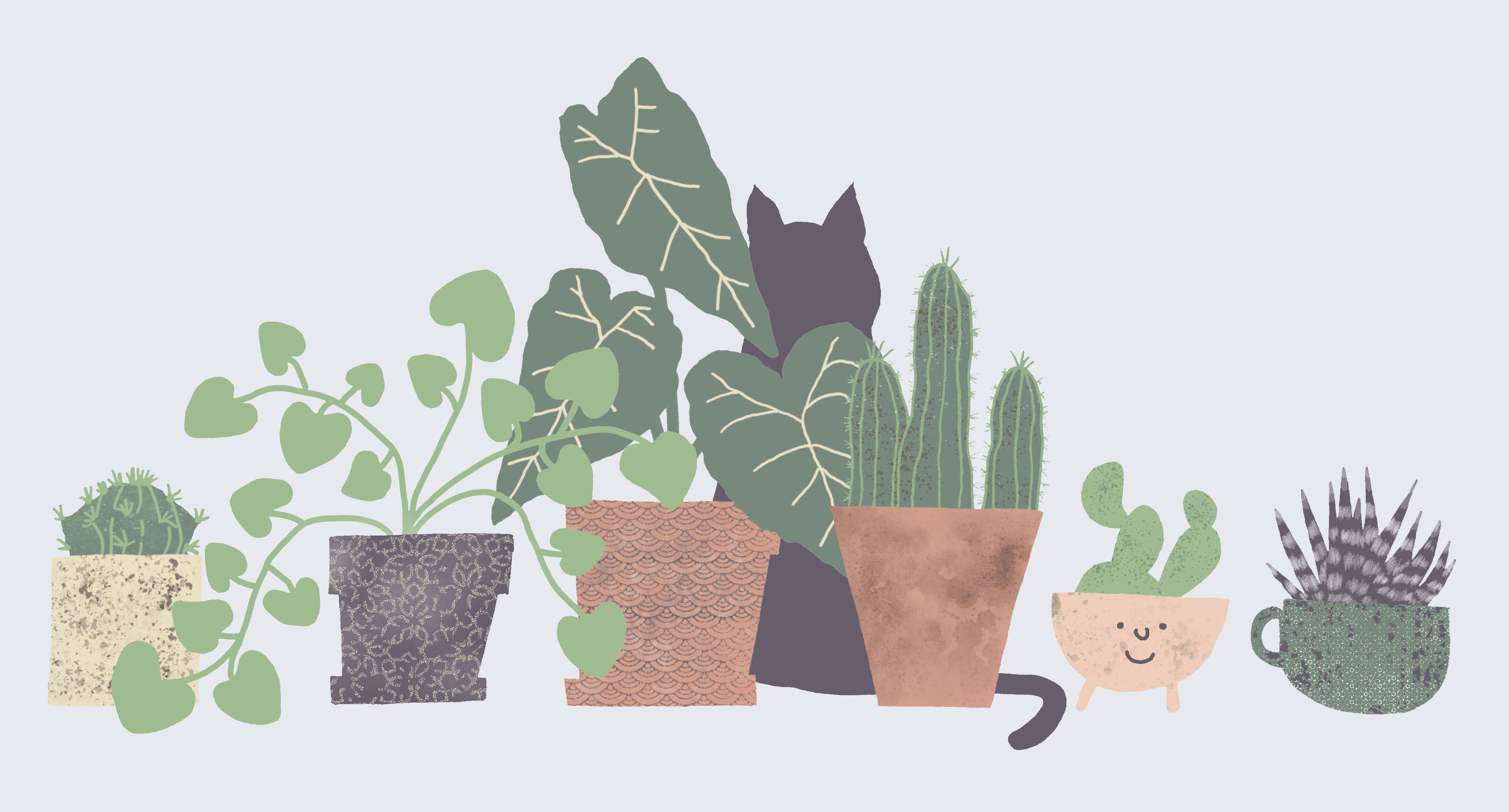 A cat sitting in front of several potted plants - Plants