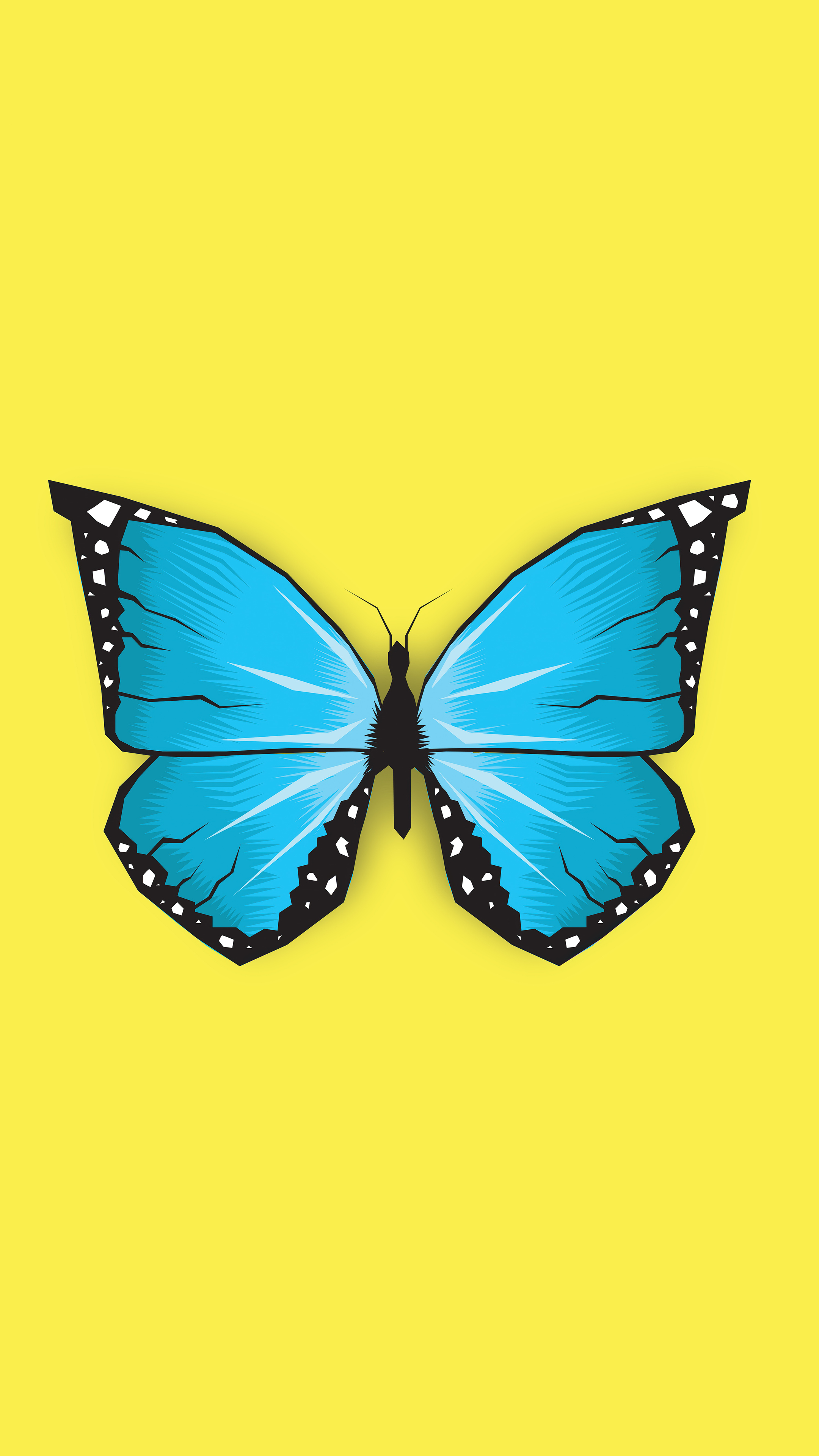 A blue butterfly on yellow background - Butterfly