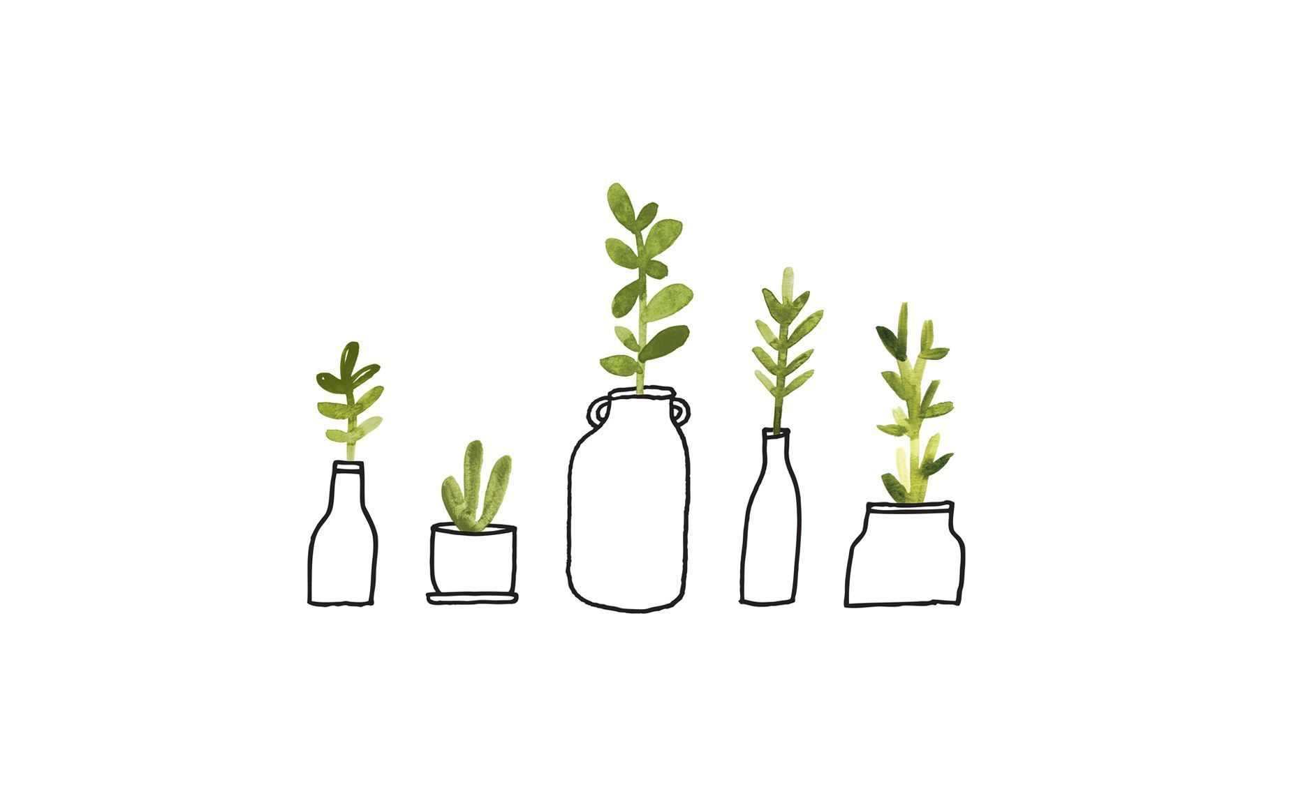 A drawing of several glass vases with plants in them - Minimalist