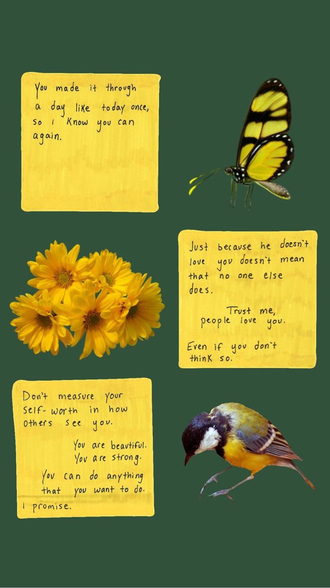 A collage of a butterfly, flowers, and birds with quotes. - Butterfly