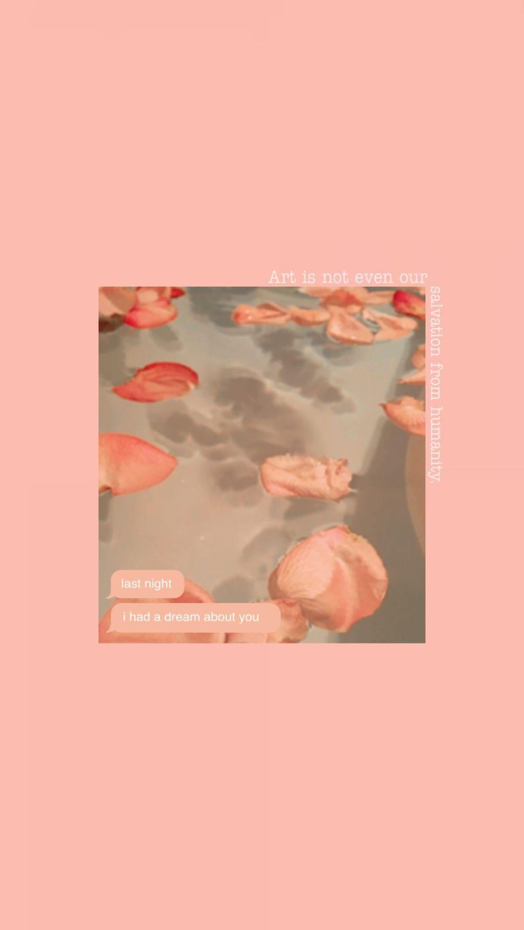 A pink background with some flowers floating in the water - Peach
