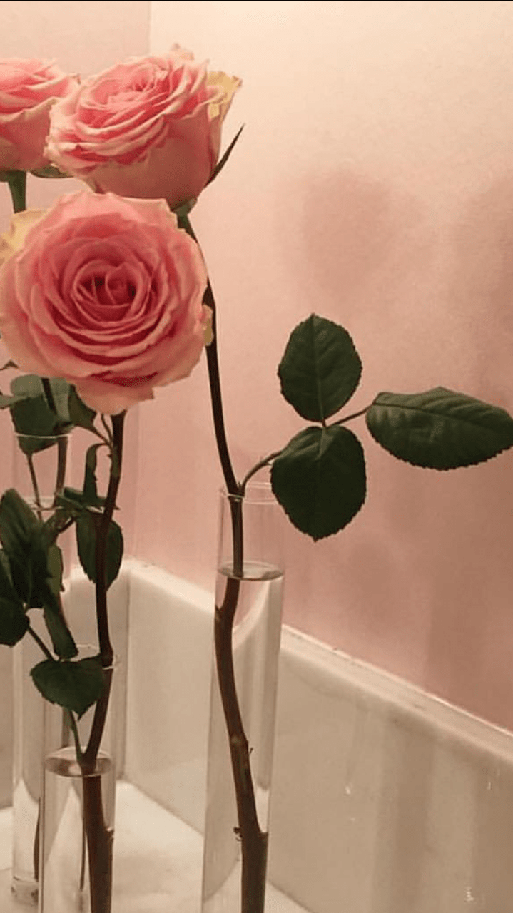 A couple of pink roses in vases - Peach