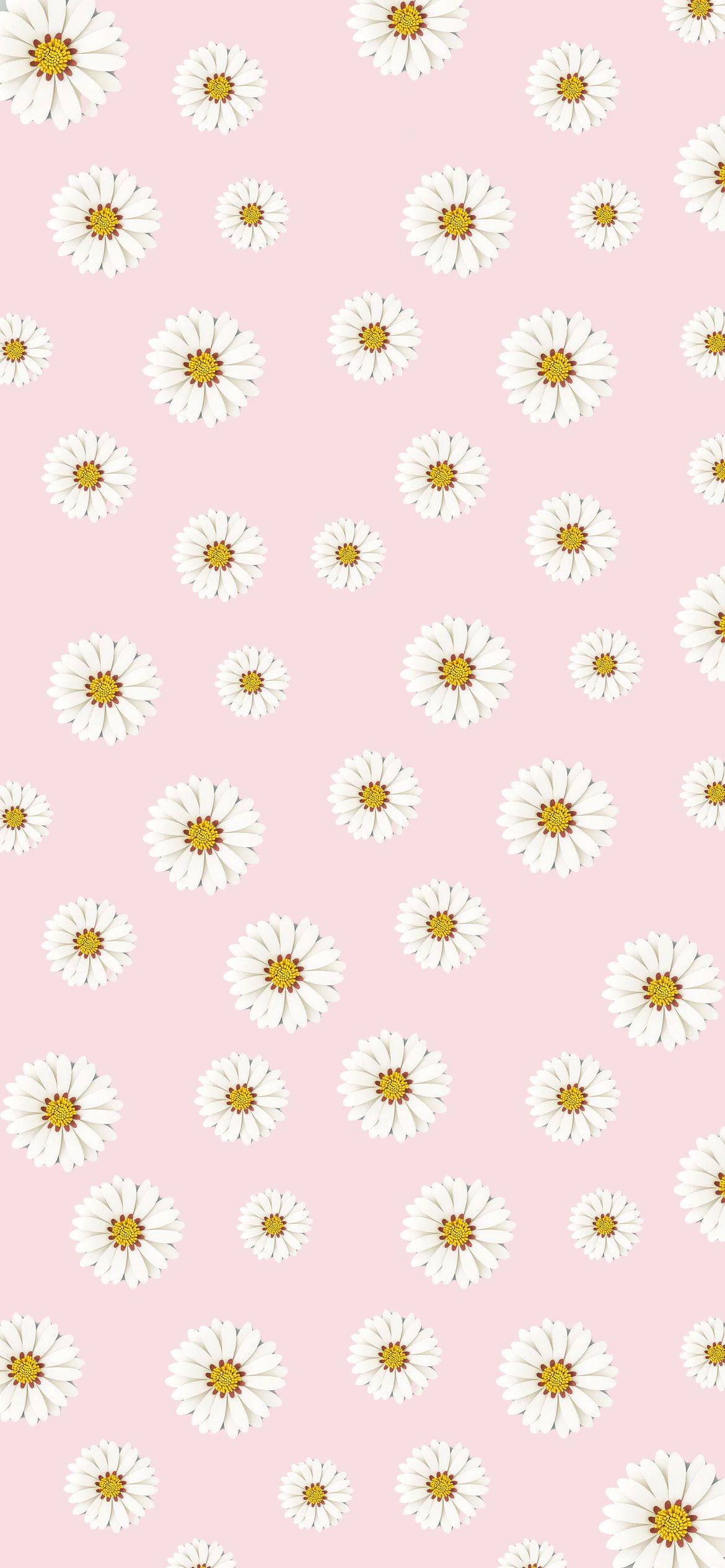 A pattern of white daisies on pink background - Pink phone, daisy