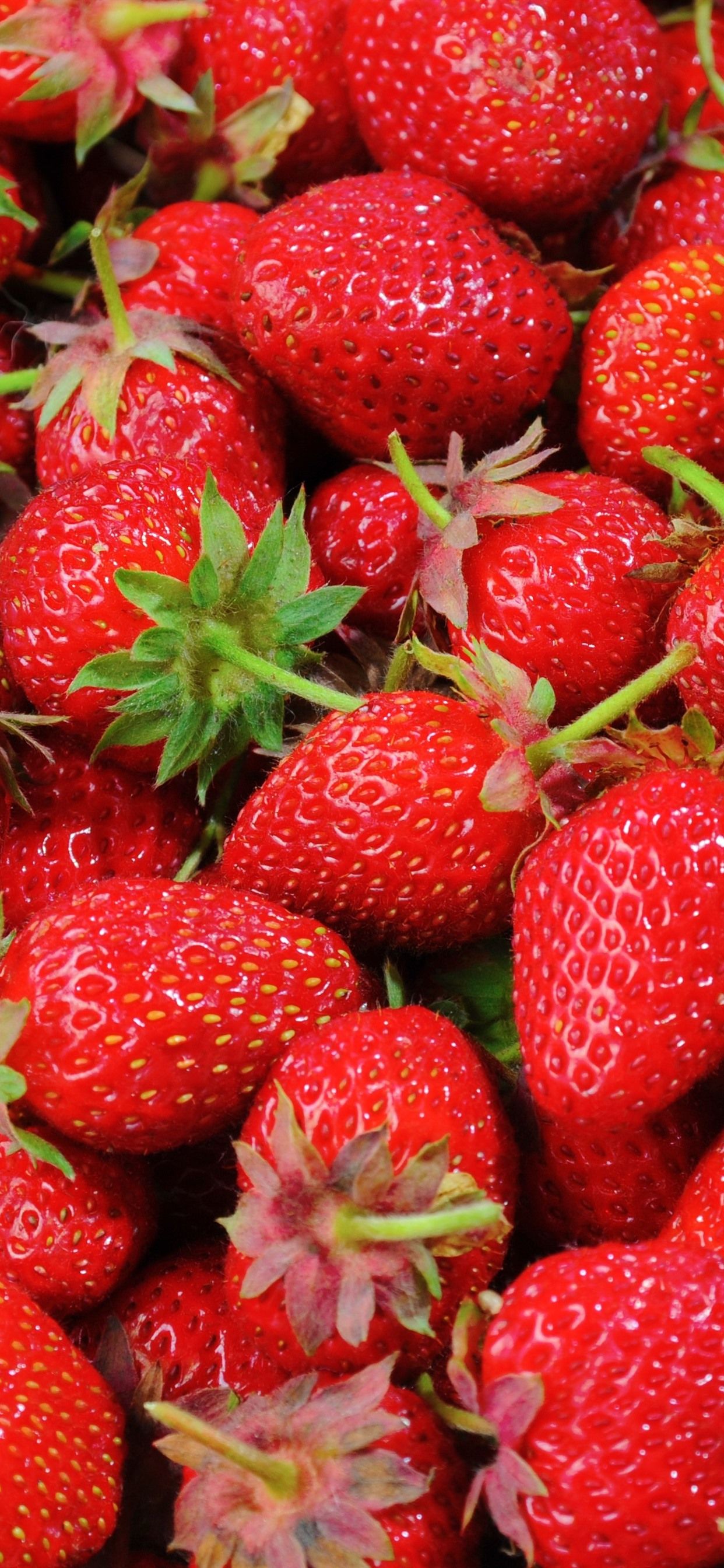 Many Delicious Strawberries, Fruit 1242x2688 IPhone 11 Pro XS Max Wallpaper, Background, Picture, Image