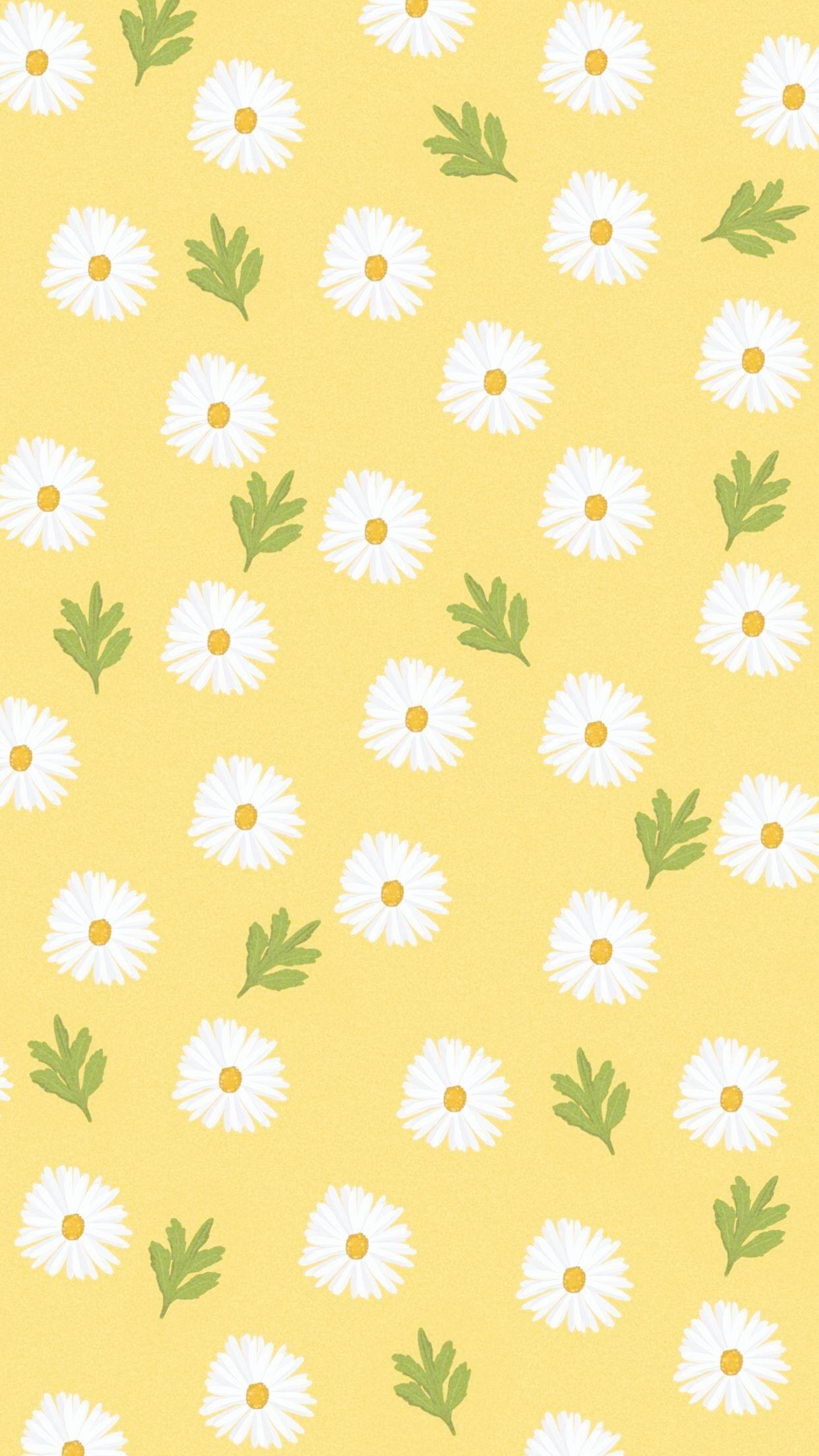 Yellow wallpaper with white daisies and green leaves. - Daisy