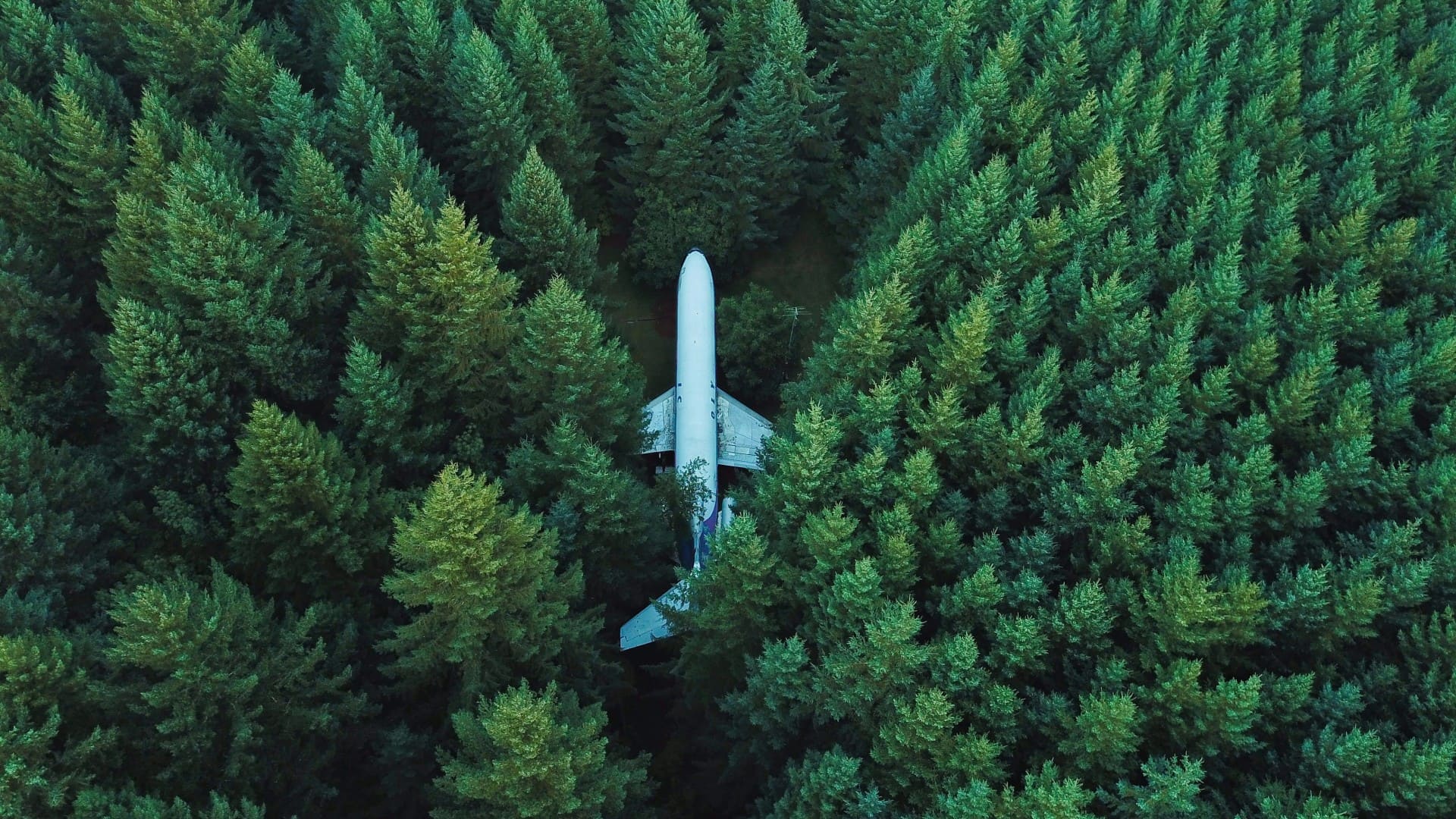 An airplane is flying over a forest - Nature