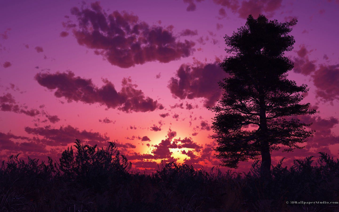 Free download Free download Widescreen Purple Sunset Wallpaper Desktop Nature [1440x900] for your Desktop, Mobile & Tablet. Explore Sunset Aesthetics PC Wallpaper. Sunset Background, Sunset Background, Beach Sunset Wallpaper