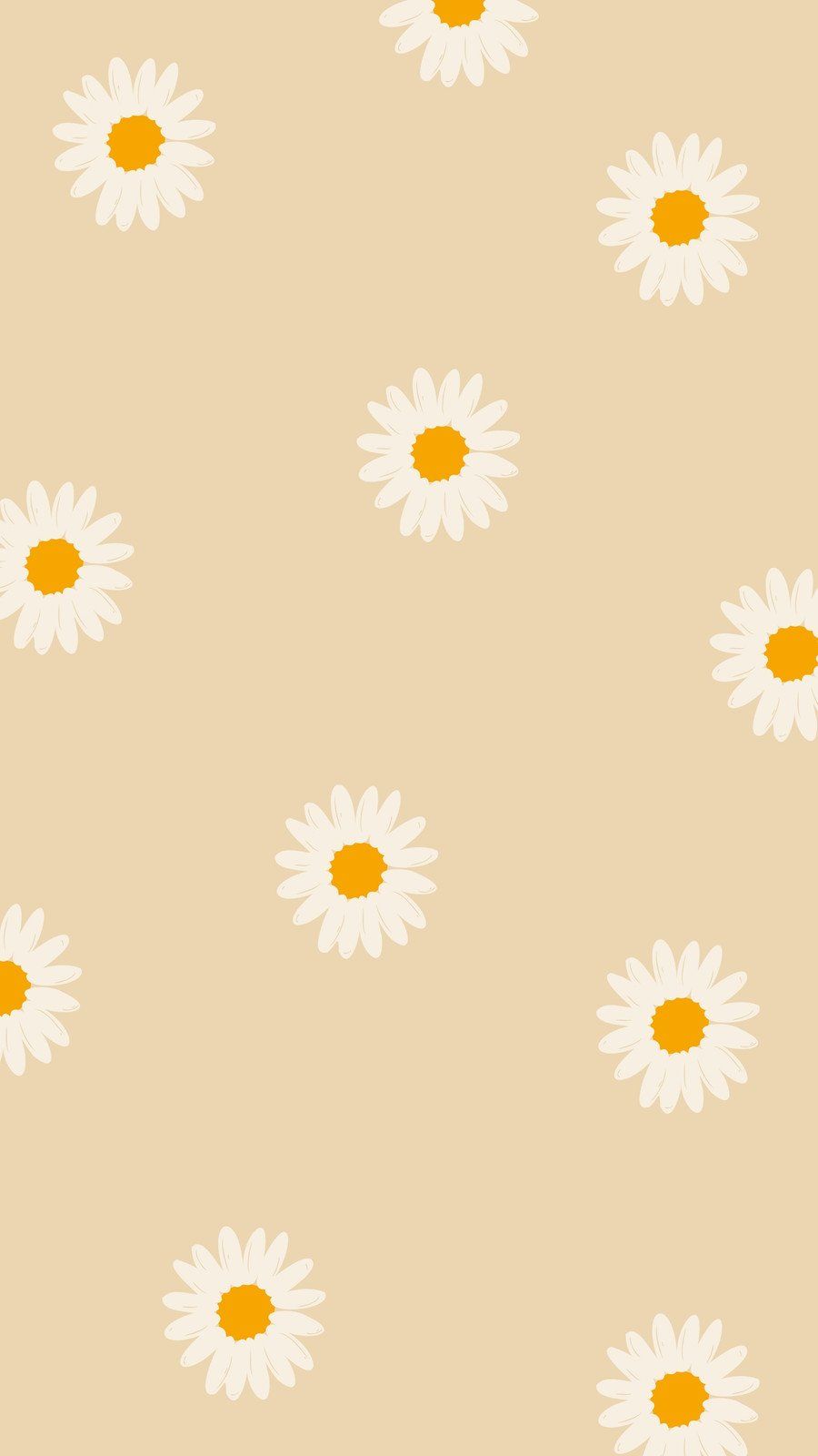 A wallpaper with white and yellow flowers - Daisy