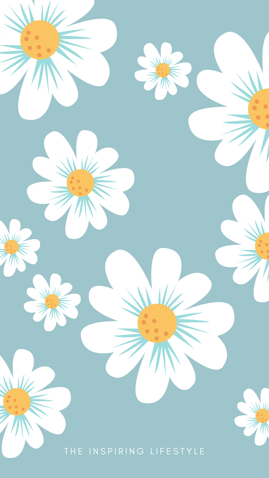 A phone wallpaper with white flowers on a blue background - Daisy