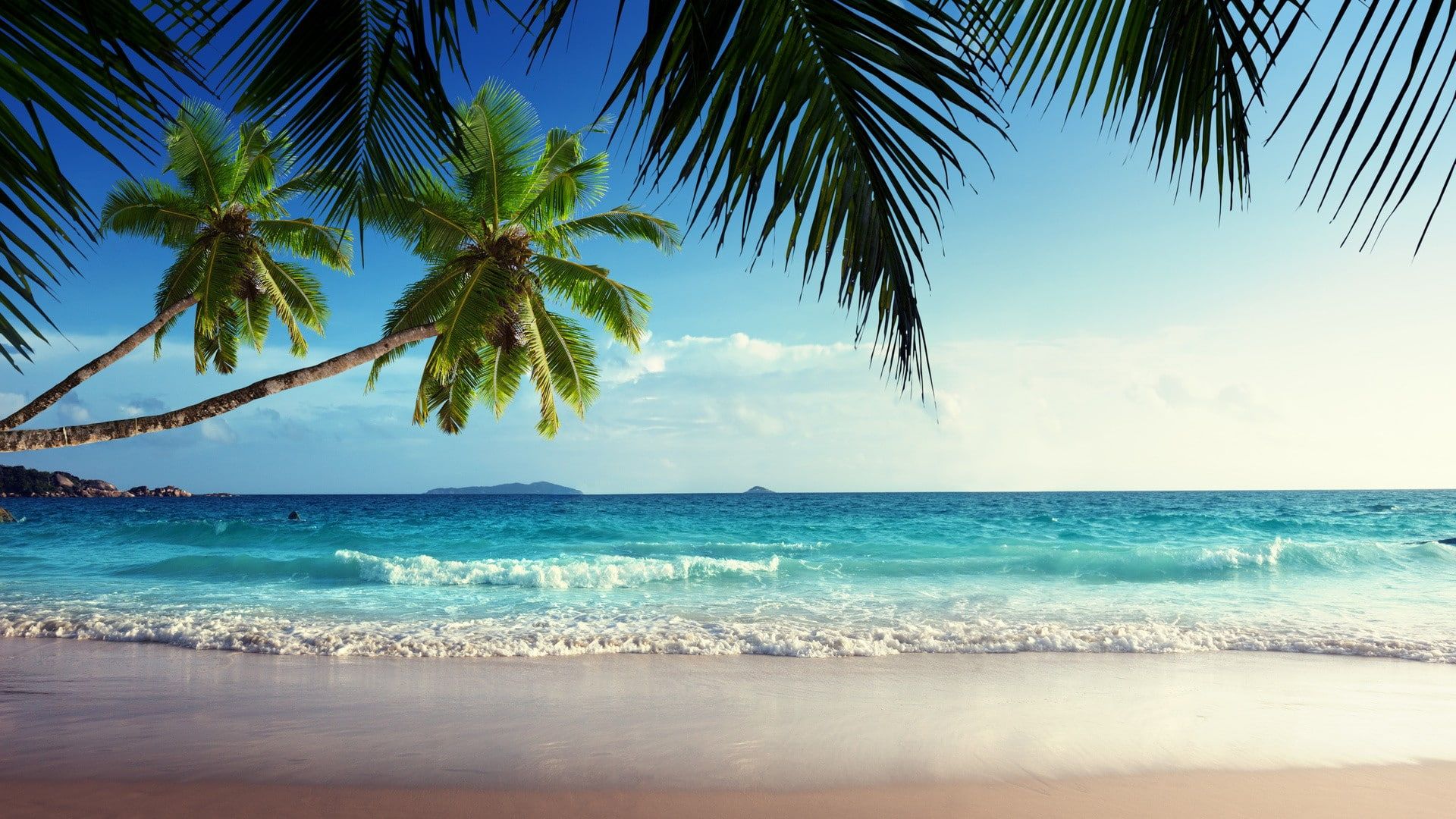 Landscape, Palm Trees, Sea, Tropical, Beach Wallpaper