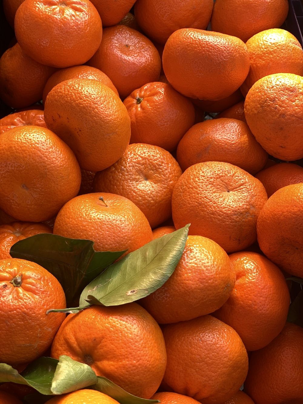 A pile of oranges with leaves on them - Fruit