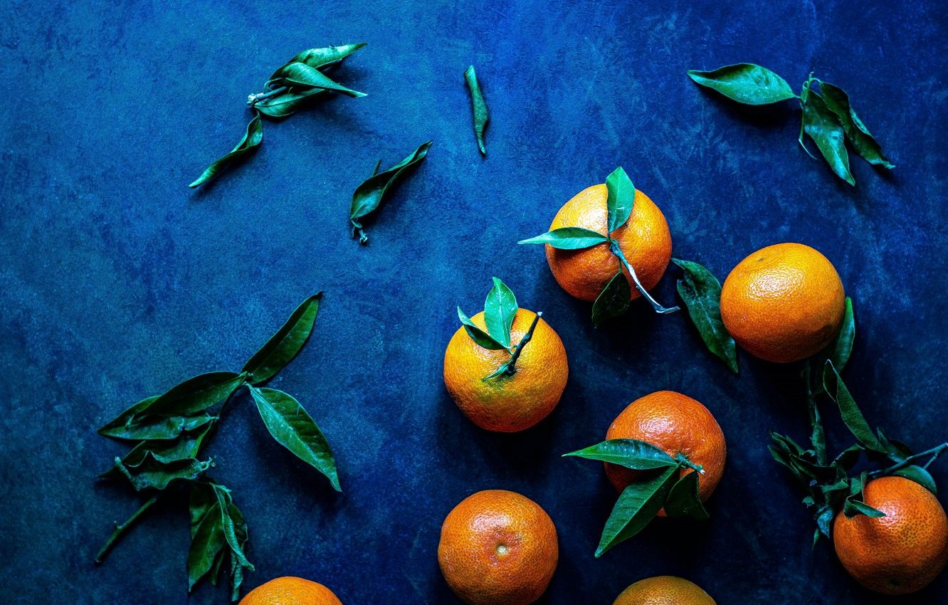 Wallpaper leaves, contrast, fruit, blue background, tangerines image for desktop, section еда