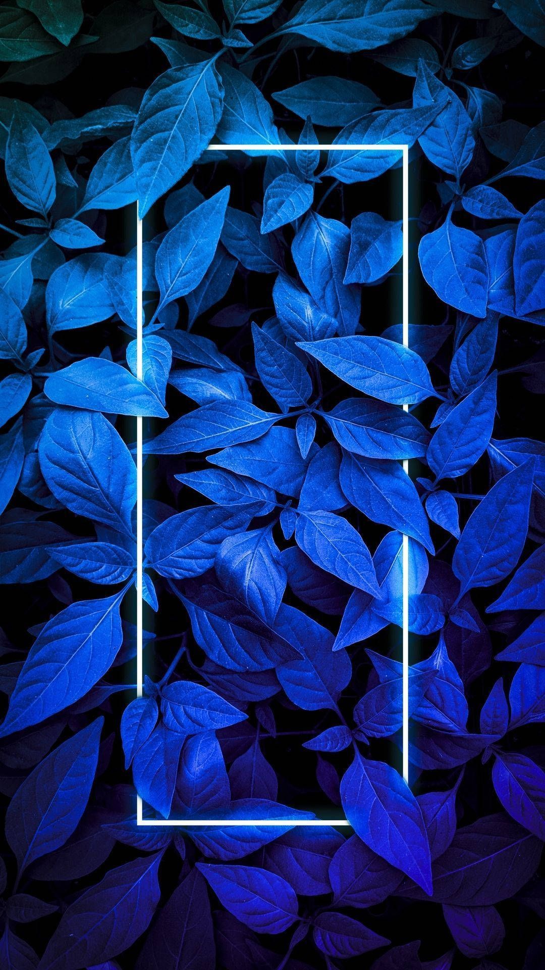 Blue leaves with a white frame wallpaper - Indigo