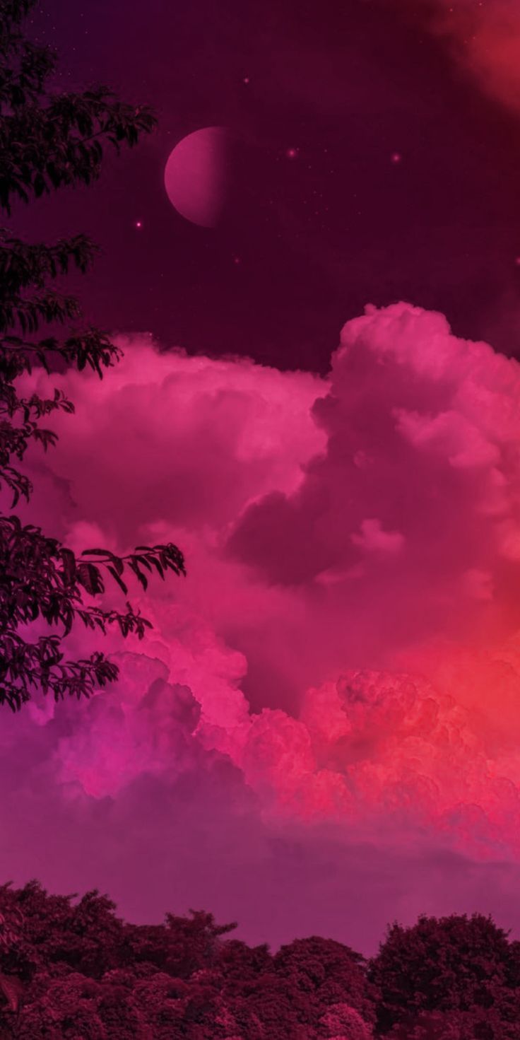 A purple sky with clouds and trees - Magenta, beautiful