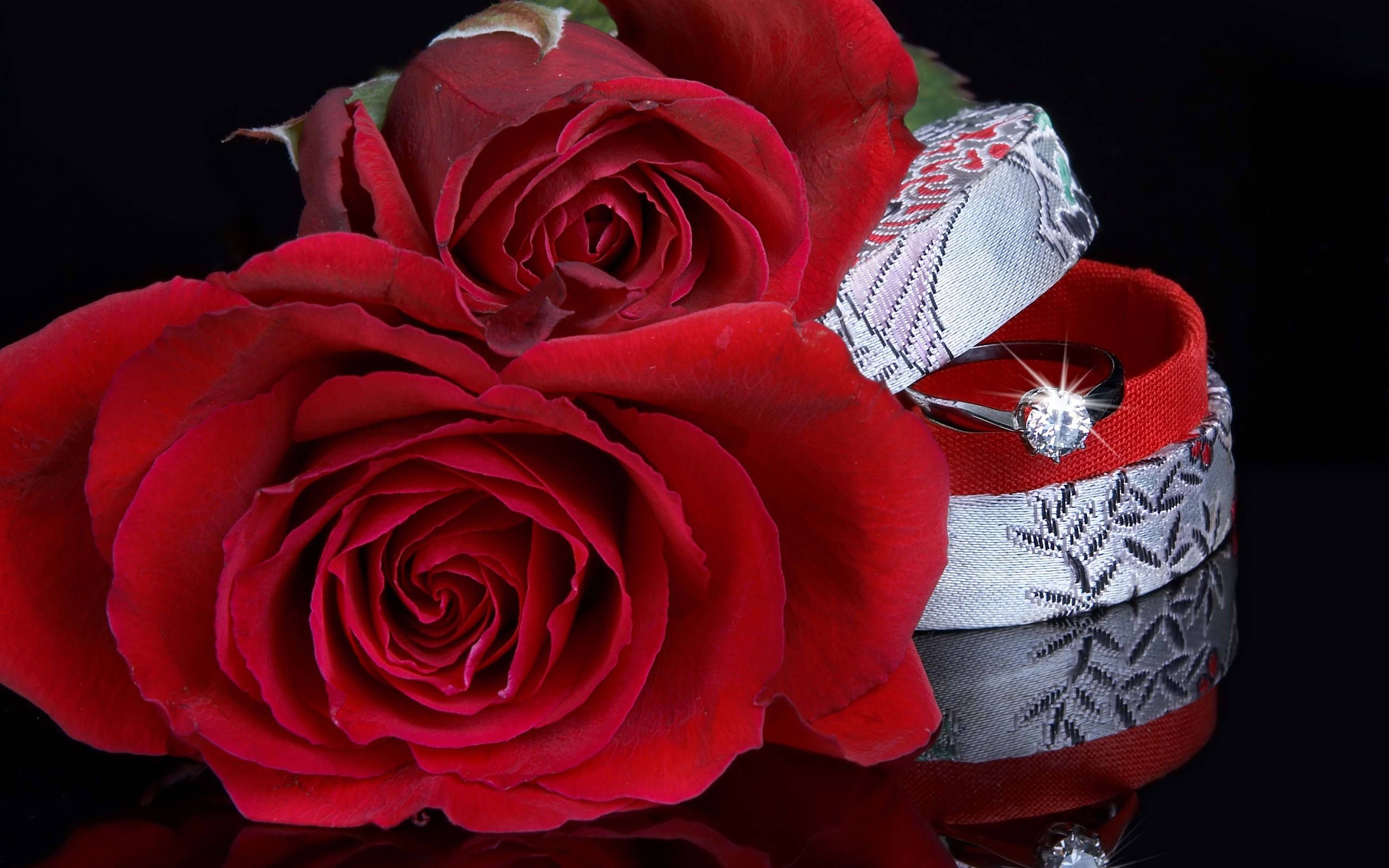 Two red roses with a silver ring on a black background - Wedding