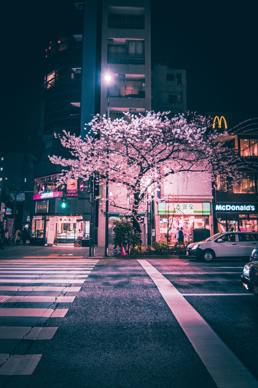 A street with cars and buildings at night - Tokyo, Japan, Japanese