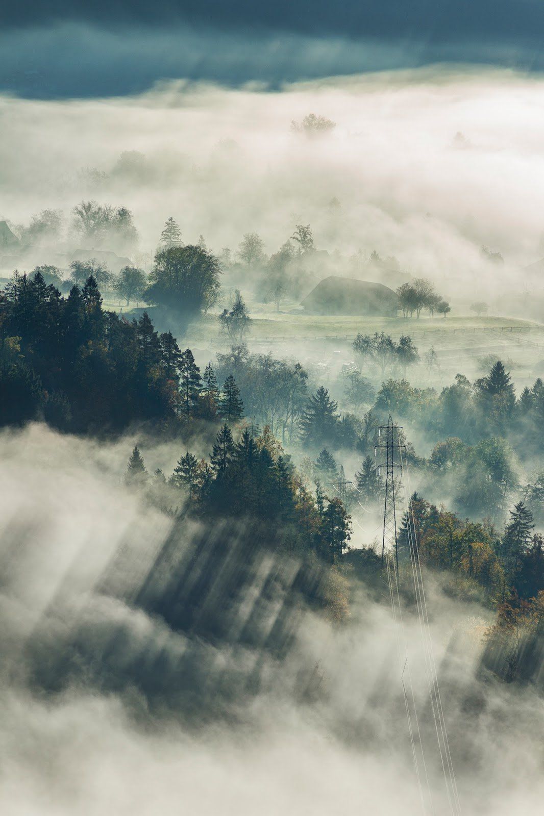 Photographing mist and fog: 25 atmospheric examples and how to shoot them