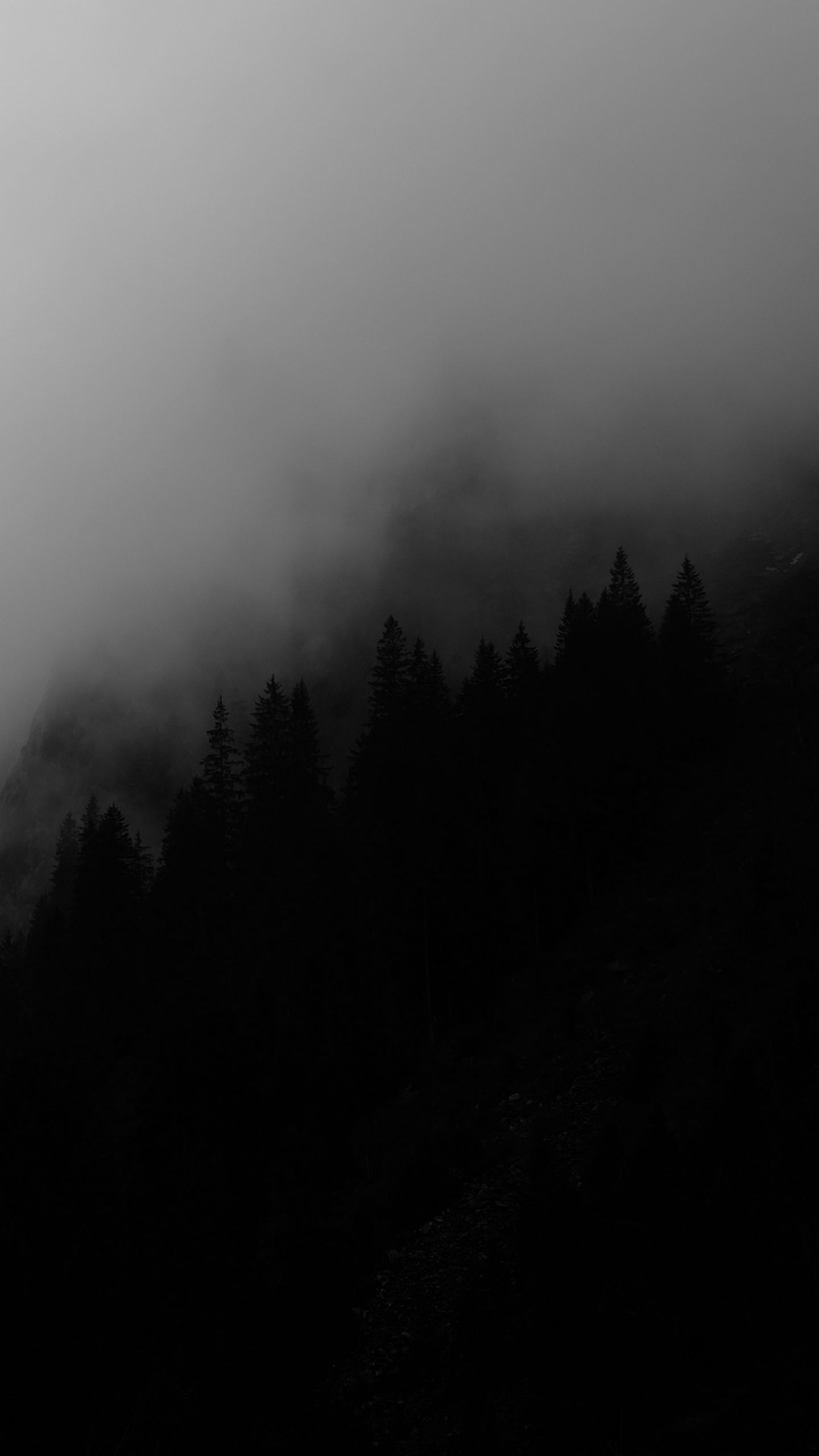 A black and white photo of foggy mountains - Fog