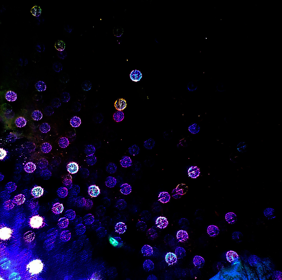 A black background with blue, purple and yellow lights in the shape of bubbles. - Bubbles