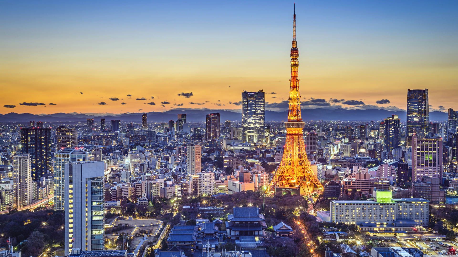 A city skyline with the tokyo tower in it - Tokyo