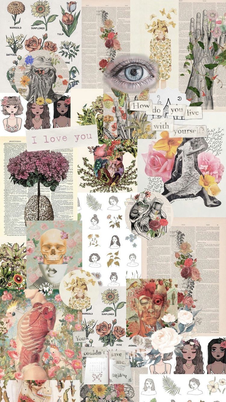 Aesthetic collage of vintage images of flowers, eyes, and human anatomy. - Anatomy