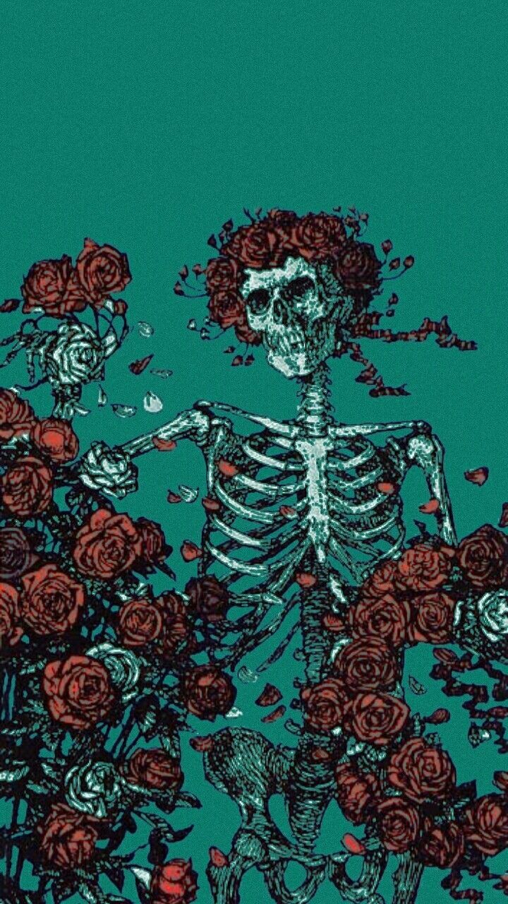 A skeleton with roses in its hair - Anatomy