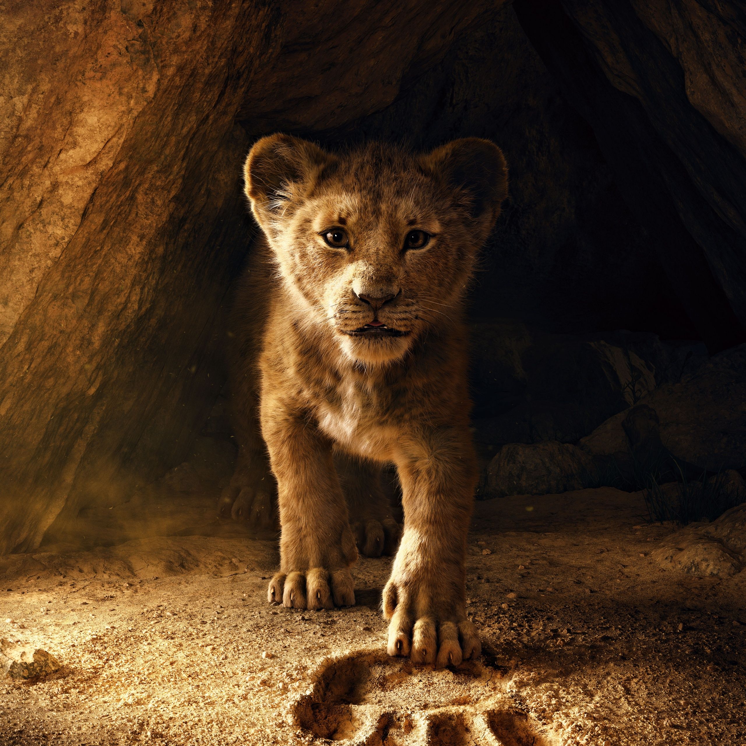 The Lion King (2019) - Simba as a cub - The Lion King