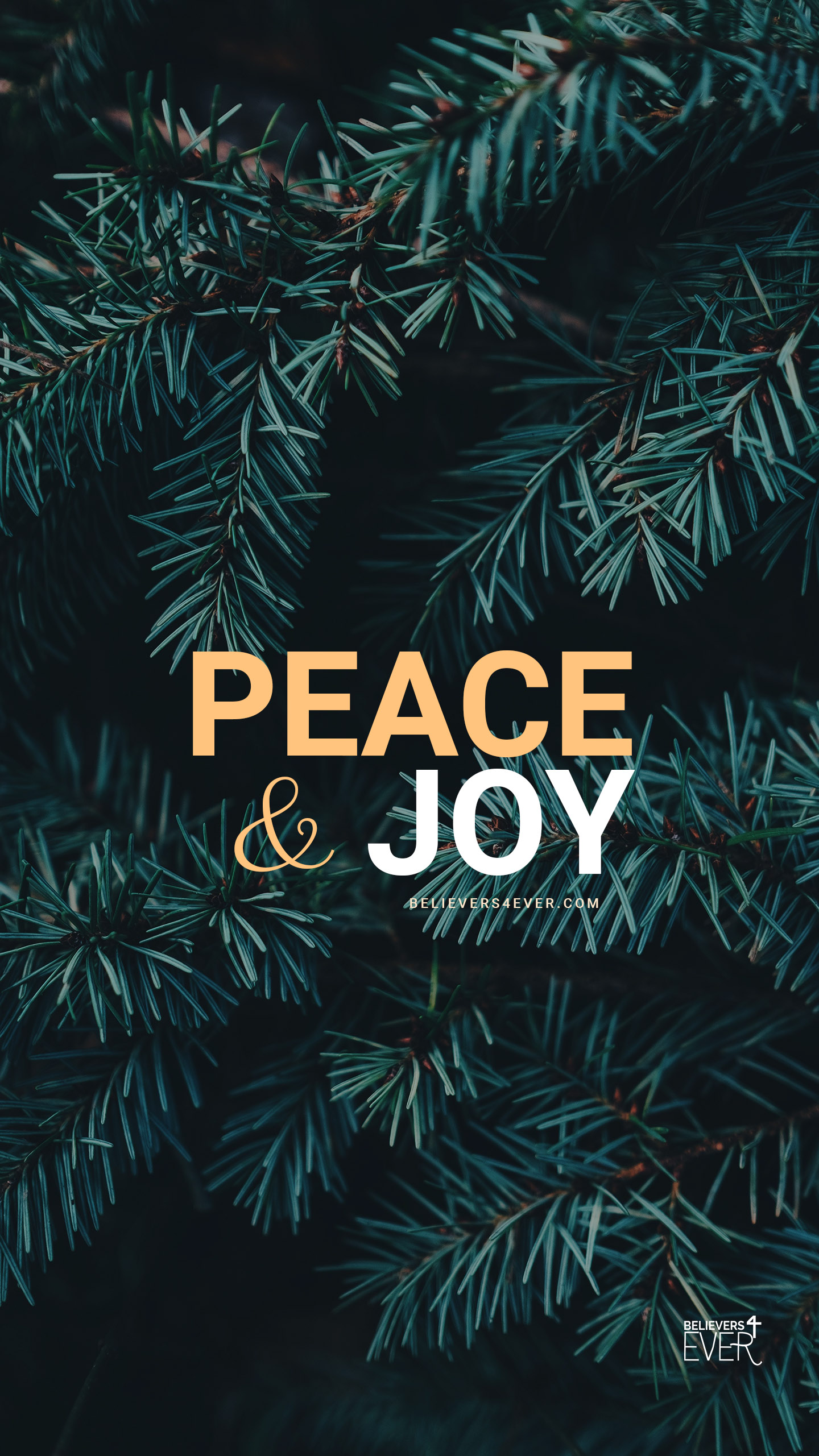 A peace and joy poster with green pine branches - Peace