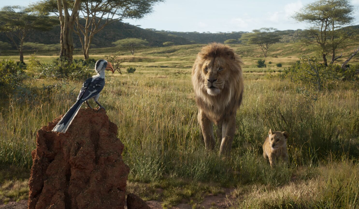 The Lion King is a 2019 American computer-animated epic musical film produced by Walt Disney Pictures. - The Lion King