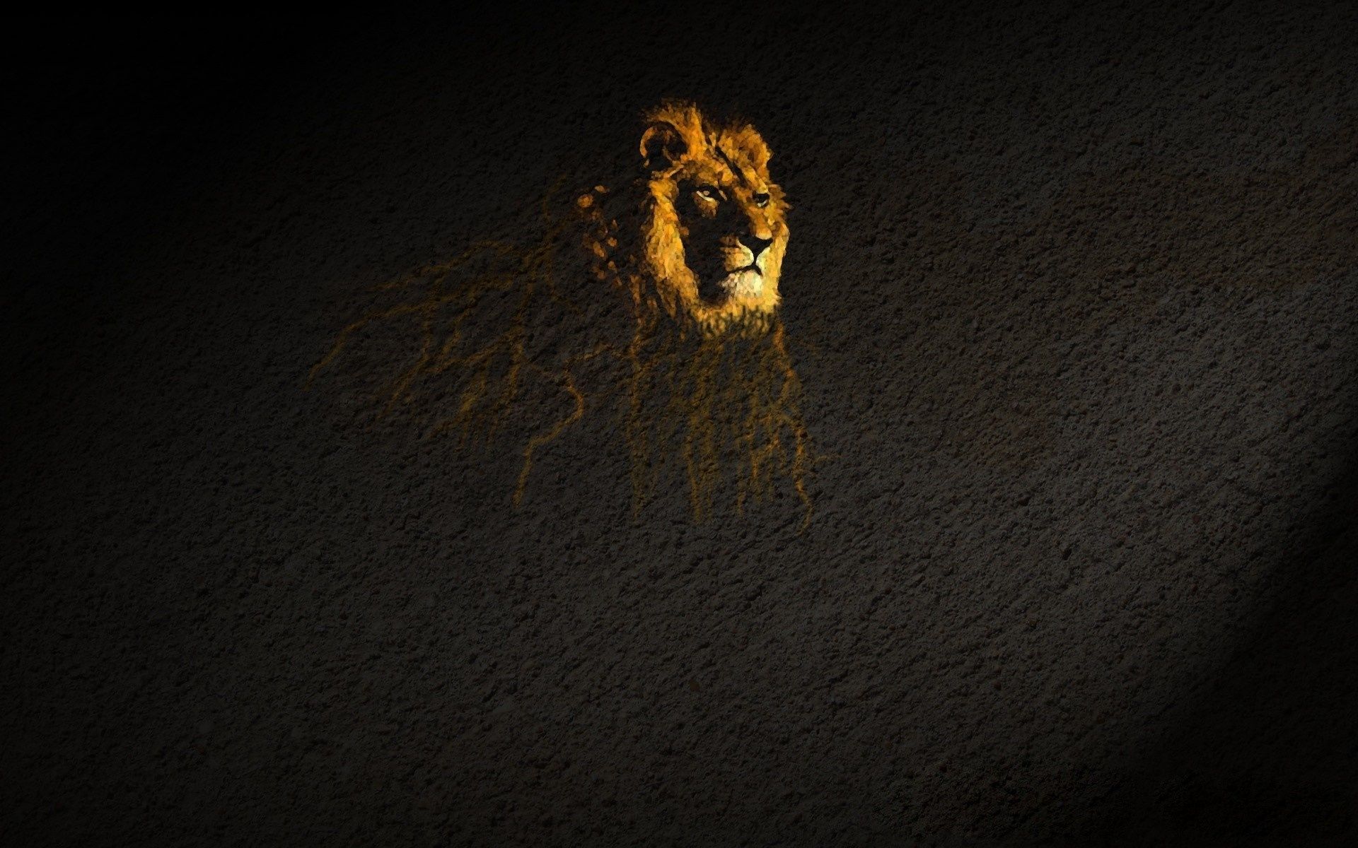 A lion is standing in the dark - Lion