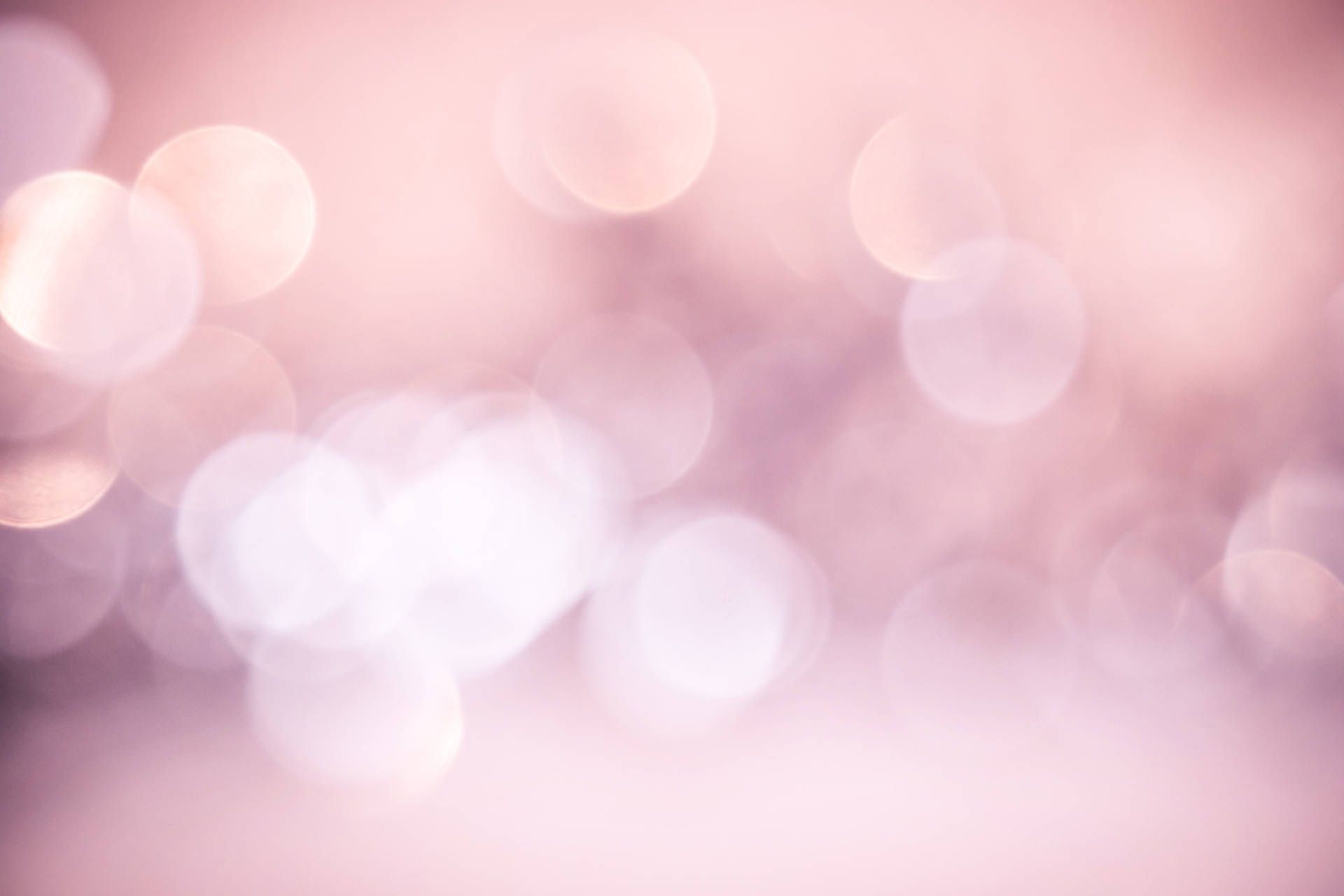 Bokeh of pink and white lights on a pink background - Blurry
