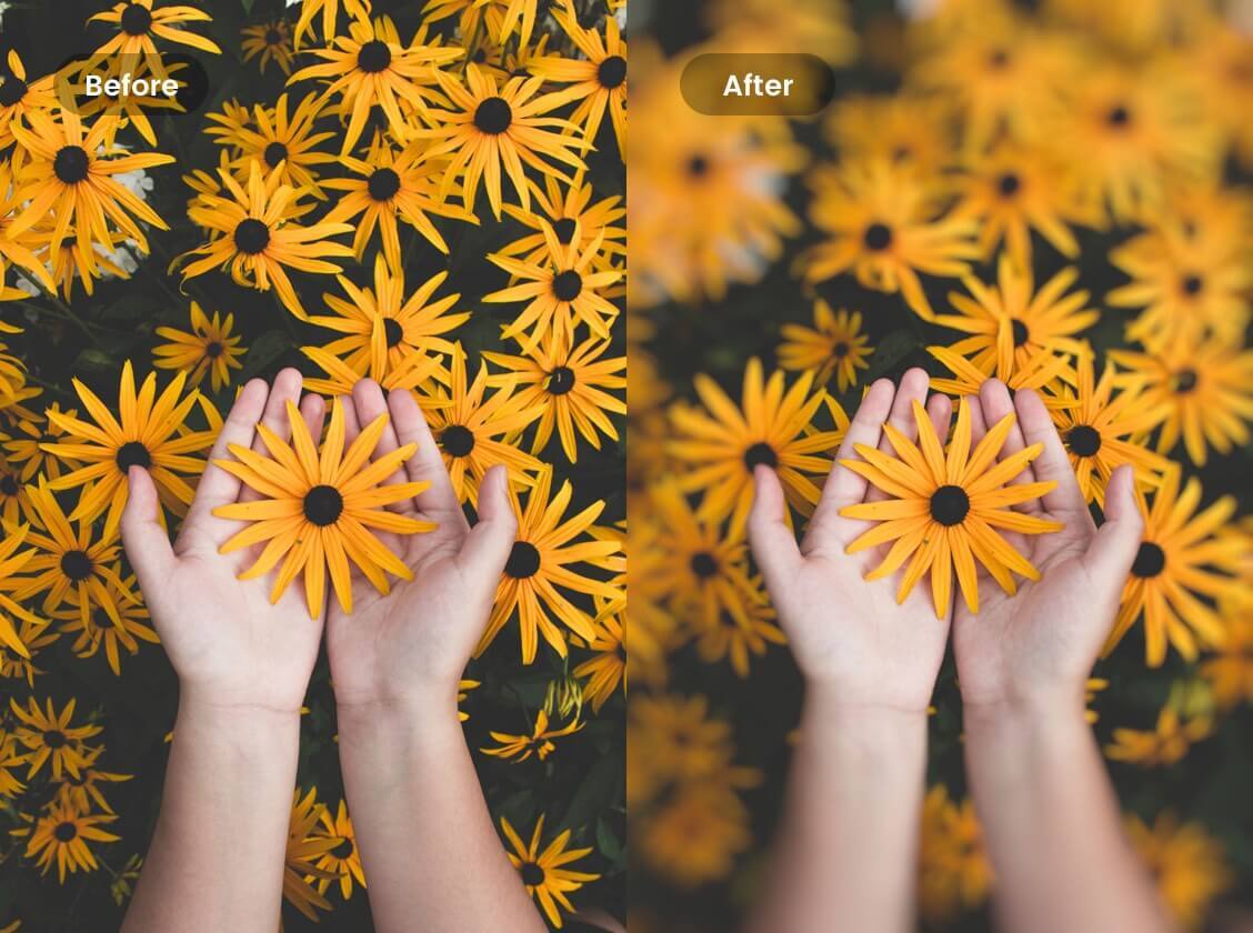 How to Blur Background Online with Photo Background Editor for Free