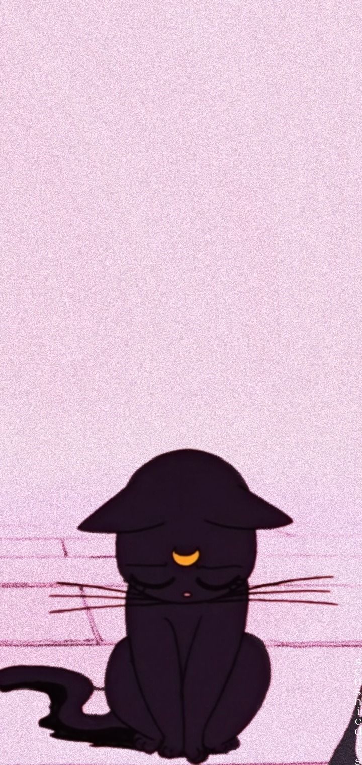 A black cat with a yellow eye on a pink background - 90s, Sailor Moon