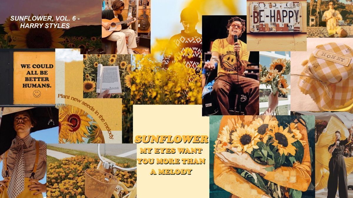 A collage of images of sunflowers and a person playing a guitar. - Harry Styles