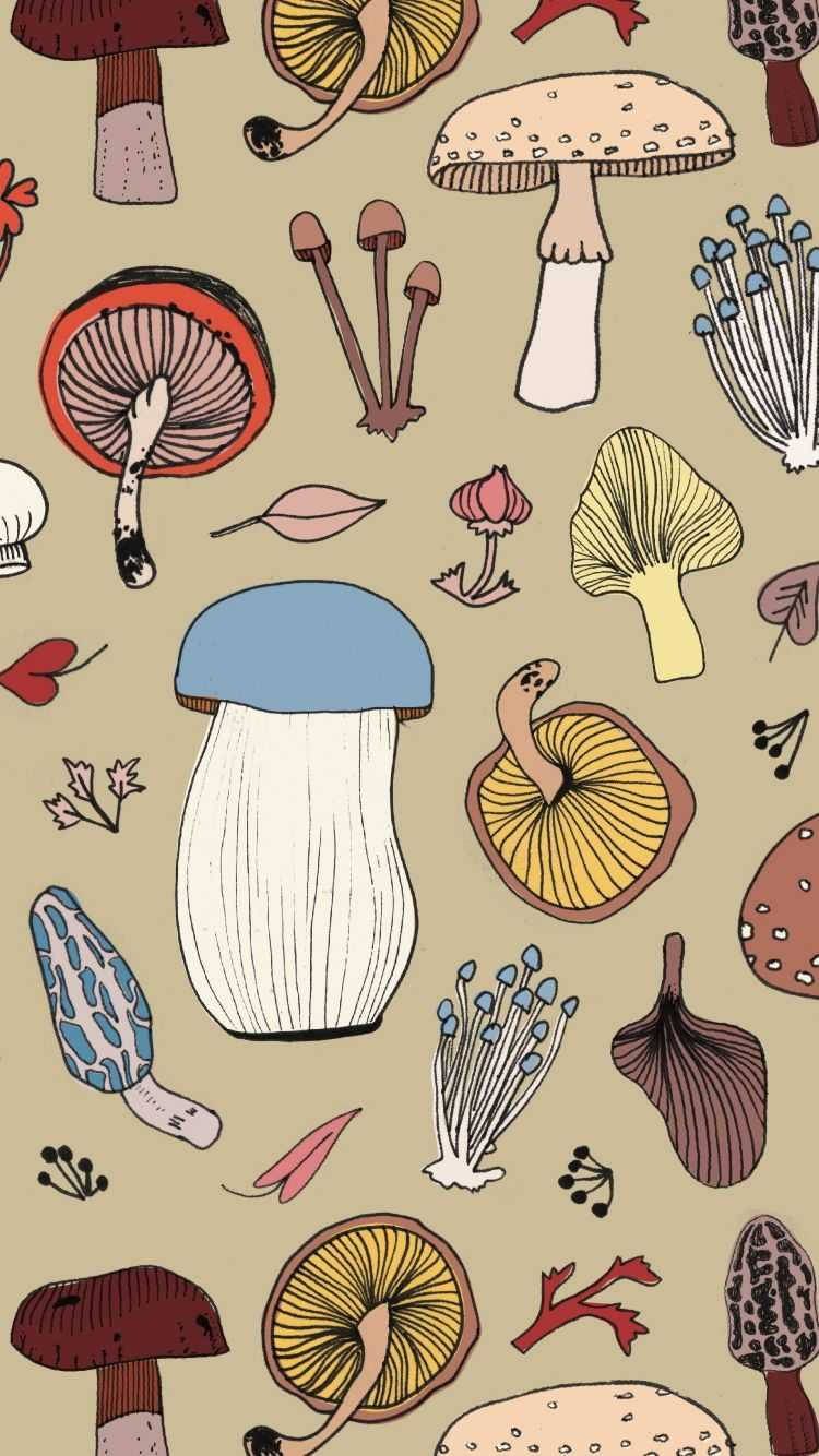 Download Earthy Mushroom Aesthetic Wallpaper