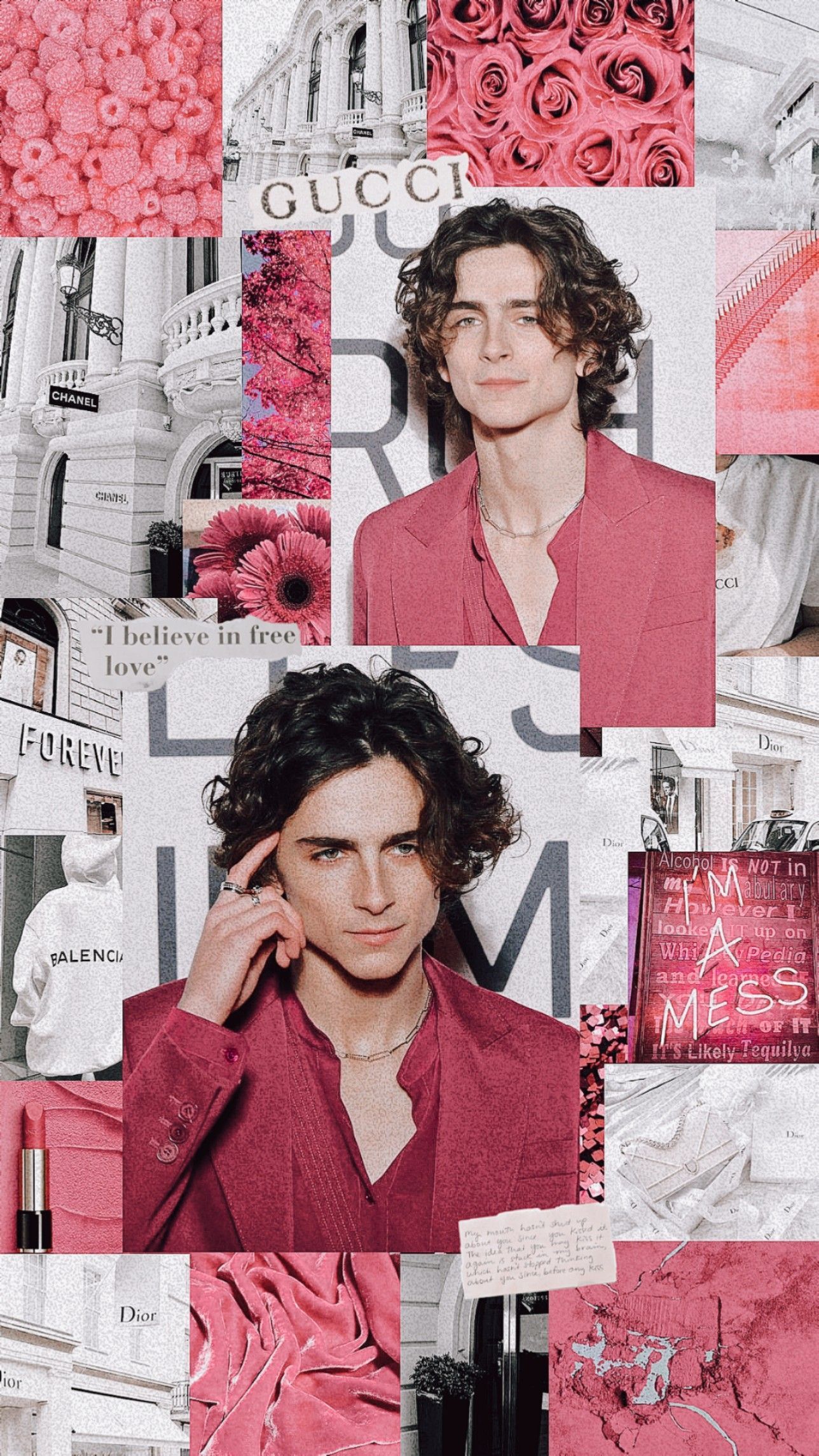Aesthetic collage of Timothee Chalamet in red suit and pink shirt - Timothee Chalamet