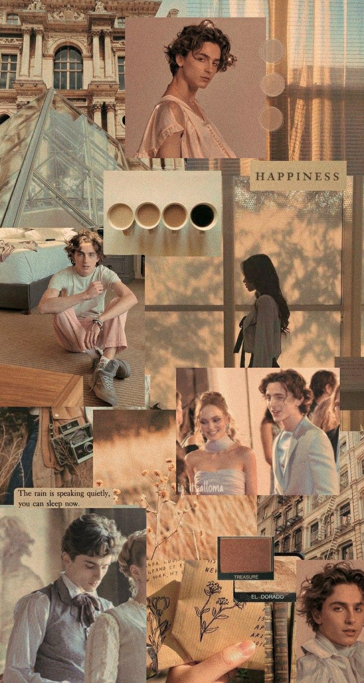 Aesthetic collage of images of Timothee Chalamet and others - Timothee Chalamet