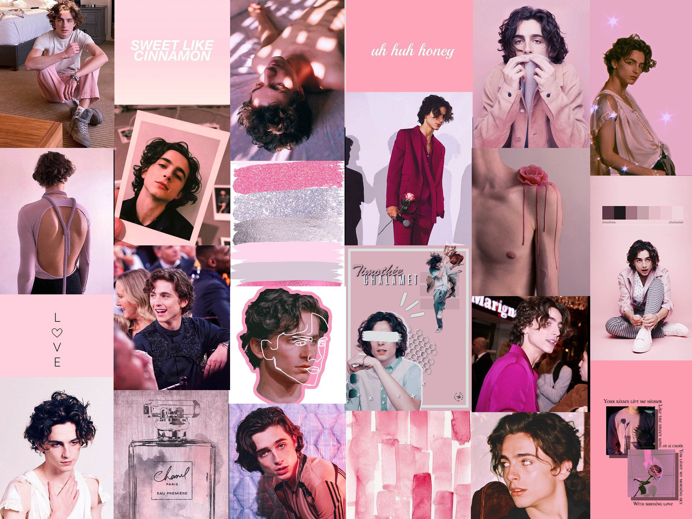 Collage of images of Timothee Chalamet in pink and grey tones - Timothee Chalamet