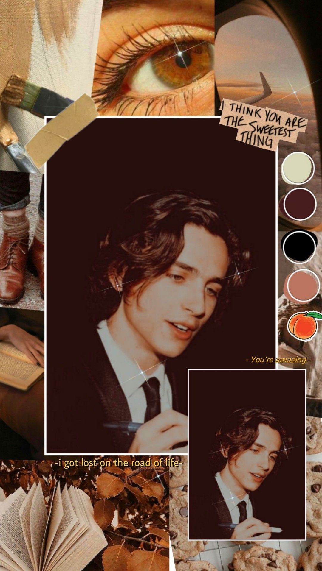Collage of Timothee Chalamet photos and aesthetic elements - Timothee Chalamet