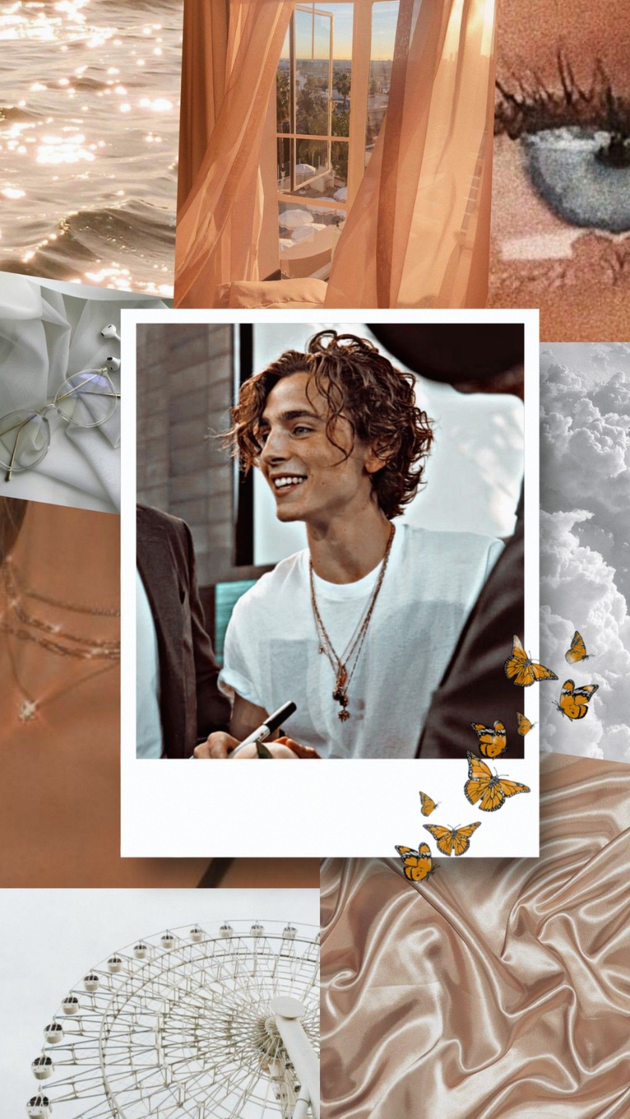 A collage of pictures with different themes - Timothee Chalamet